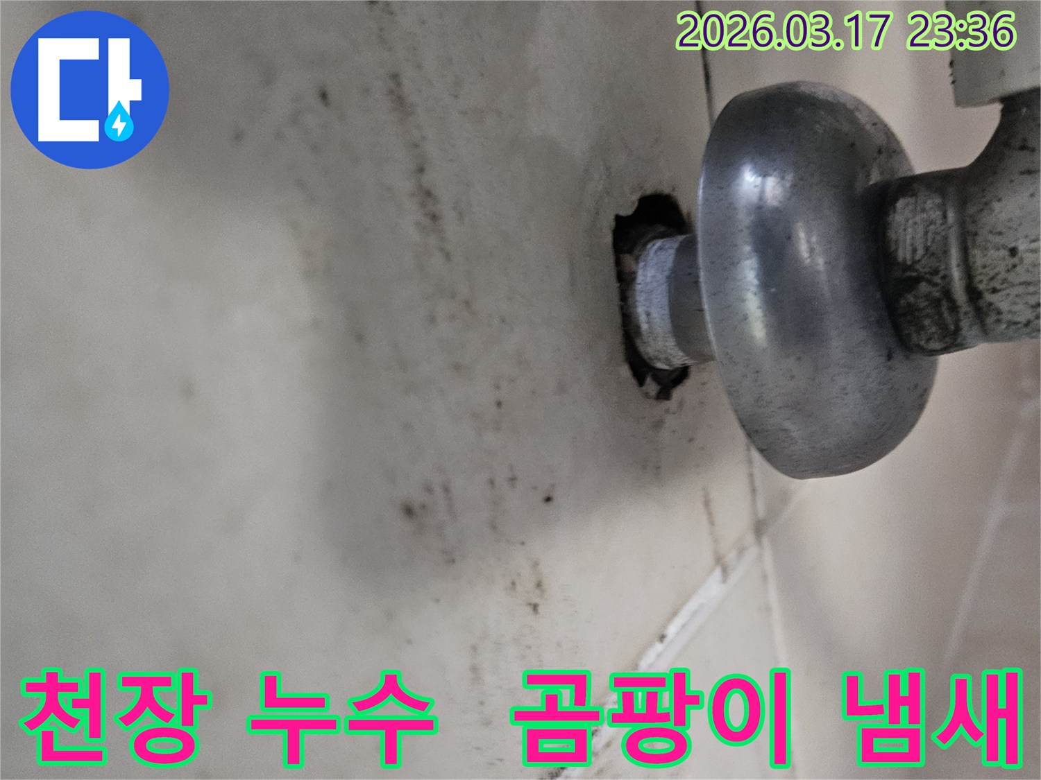 천장-배관에서-발생한-누수로-인해-오염된-벽면과-곰팡이-냄새가-나는-현장