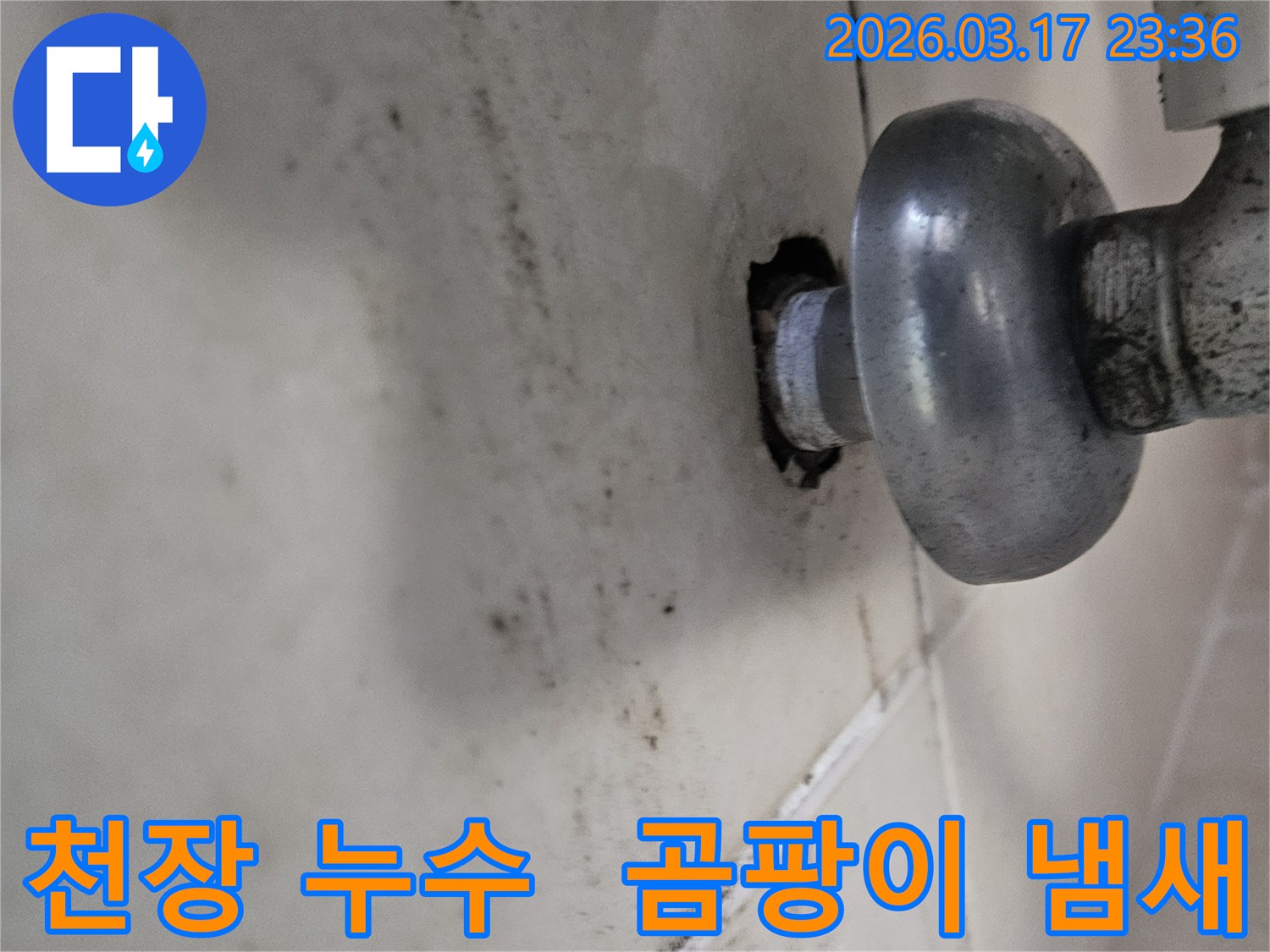천장-배관에서-발생한-누수로-인해-오염된-벽면과-곰팡이-냄새가-나는-현장