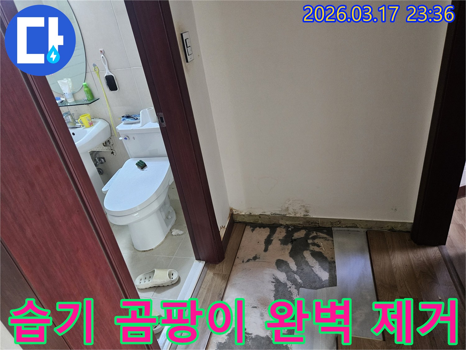 화성-병점 상가-화장실 입구 바닥에-누수로 인한 습기와-곰팡이가 발생하여-바닥재가 제거된-현장 모습입니다