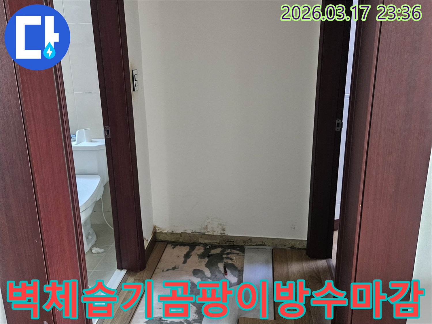 화성시 병점동 빌라 누수 현장에서-벽체 내부 습기와 곰팡이를 제거하고-방수층을 재시공한 후 마감하기 위해-벽을 개방한 모습입니다.