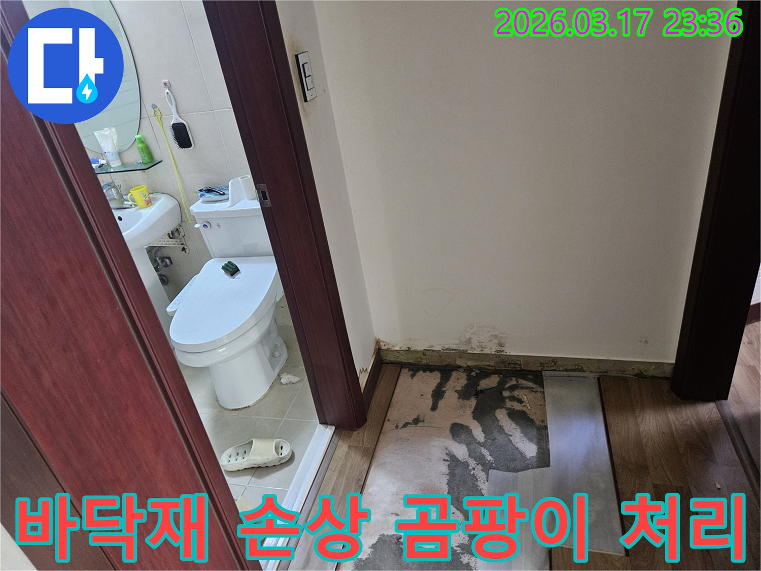 화장실 입구 바닥재가-누수로 인해 손상되어-제거된 후 곰팡이가-발생한 현장 사진입니다
