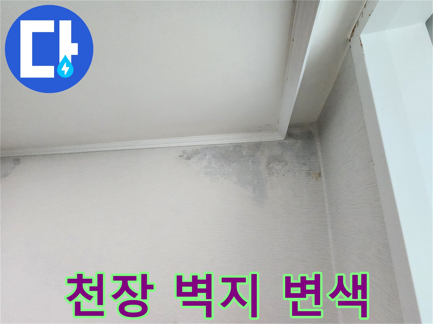 분당 정자동 아파트 천장 구석 벽지가 젖어 변색된 모습입니다.