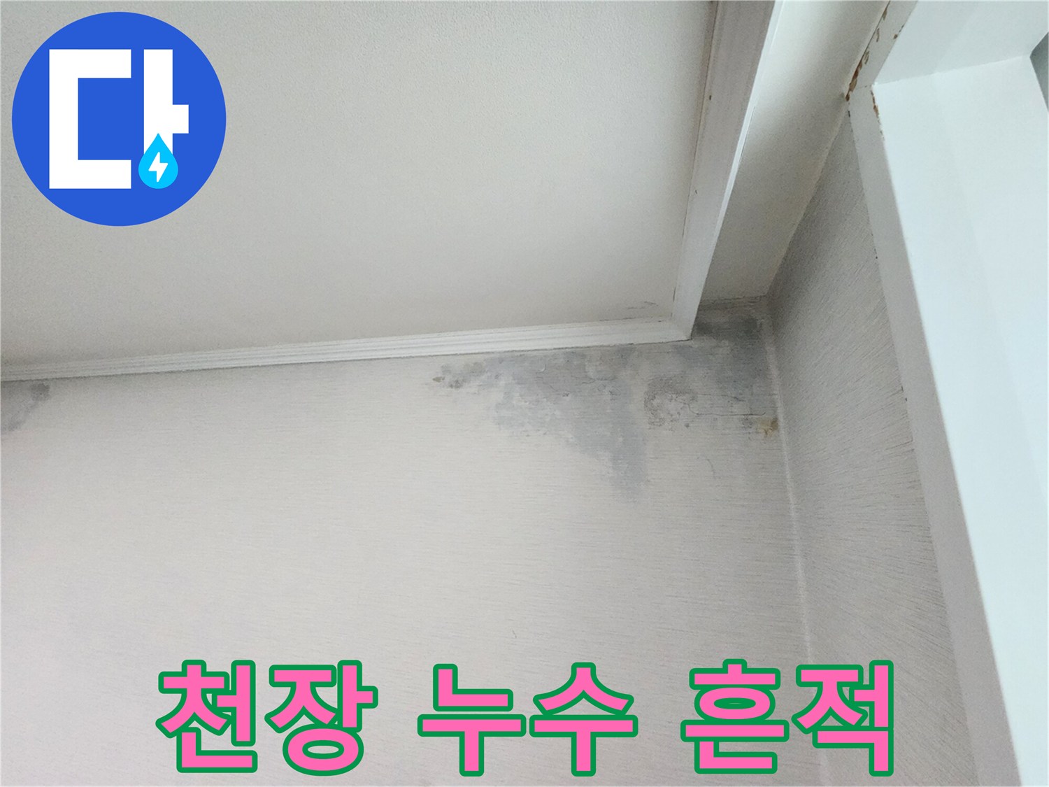 분당 정자동 아파트 천장 - 물샘으로 인해 변색된 벽지 및 곰팡이 부위