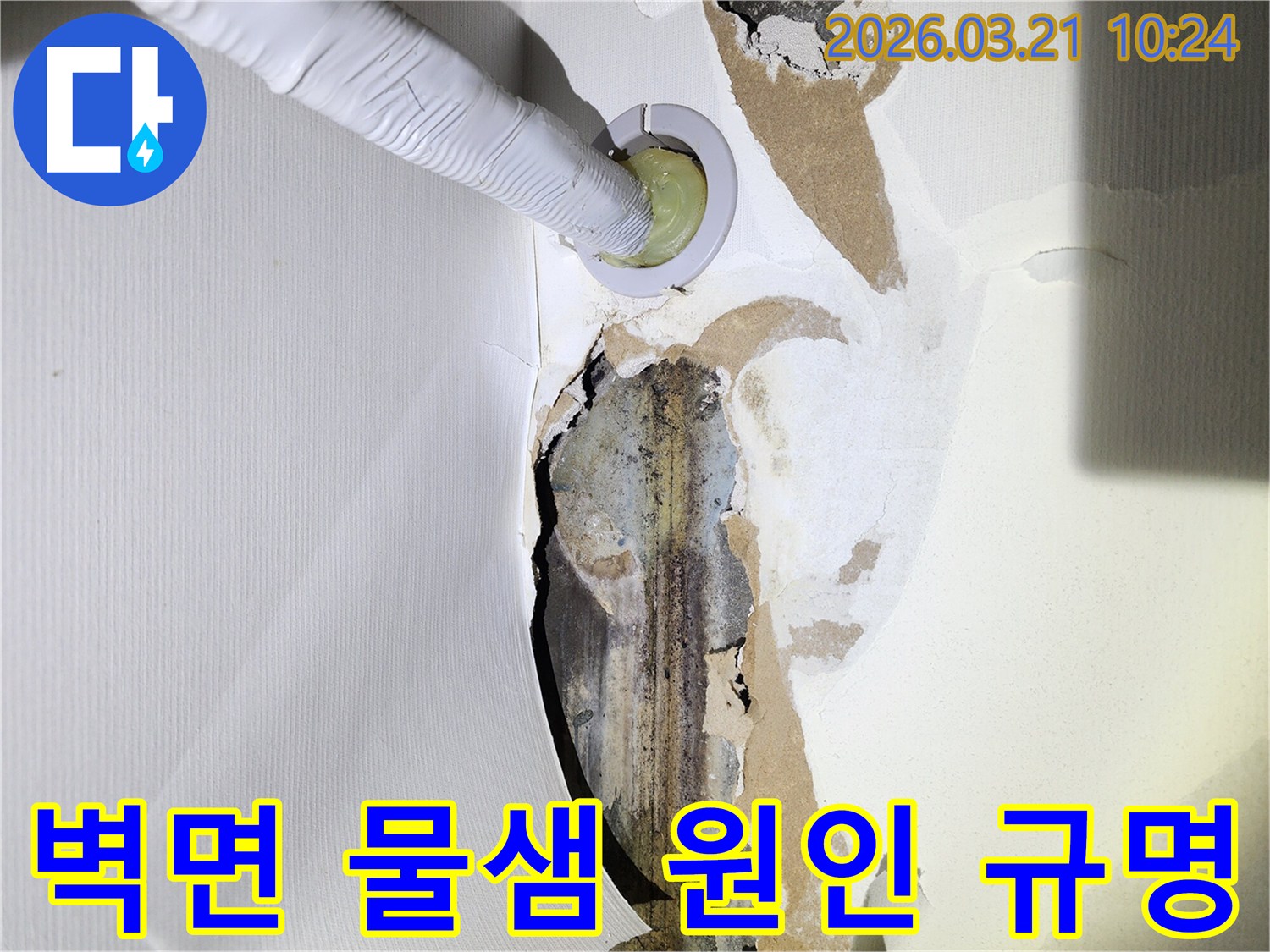 누수로-인해-벽지가-손상되고-곰팡이가-생긴-벽면에-누수-탐지-장비가-삽입되어-물샘-원인을-규명하는-모습