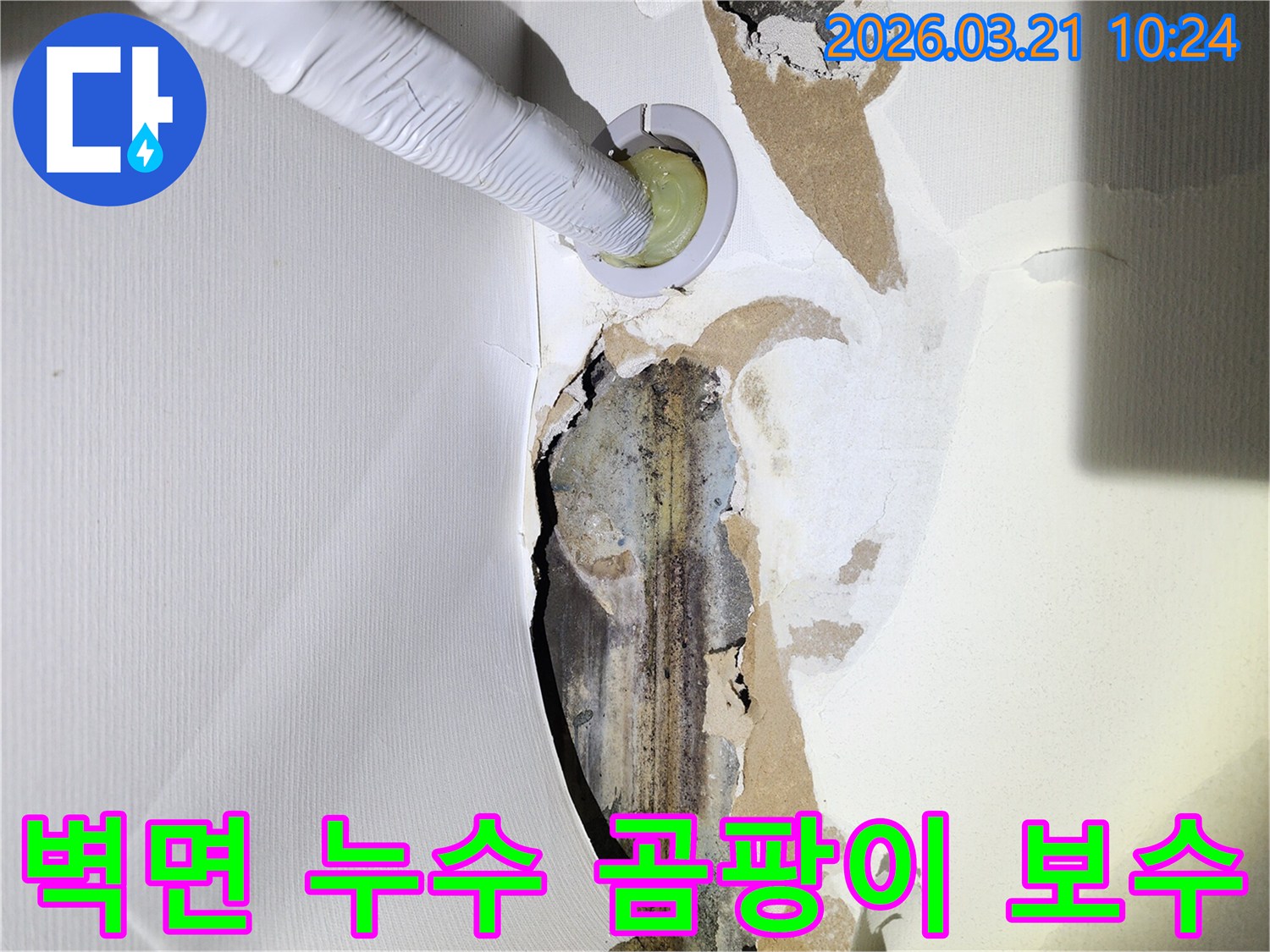 누수로-인해-벽지가-손상되고-곰팡이가-생긴-상가-벽면에-누수-탐지-장비가-삽입되어-있는-모습