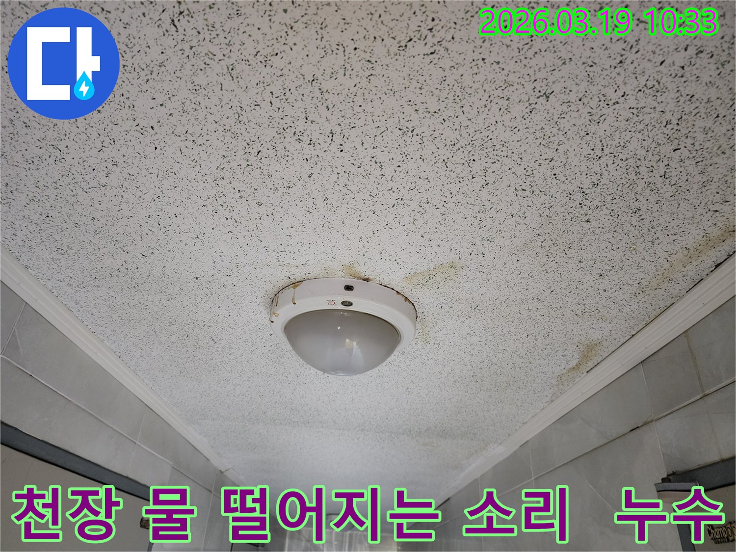 천장 조명 주변에서 물이 새어 얼룩진-누수 피해 현장 이미지-물 떨어지는 소리 원인 규명