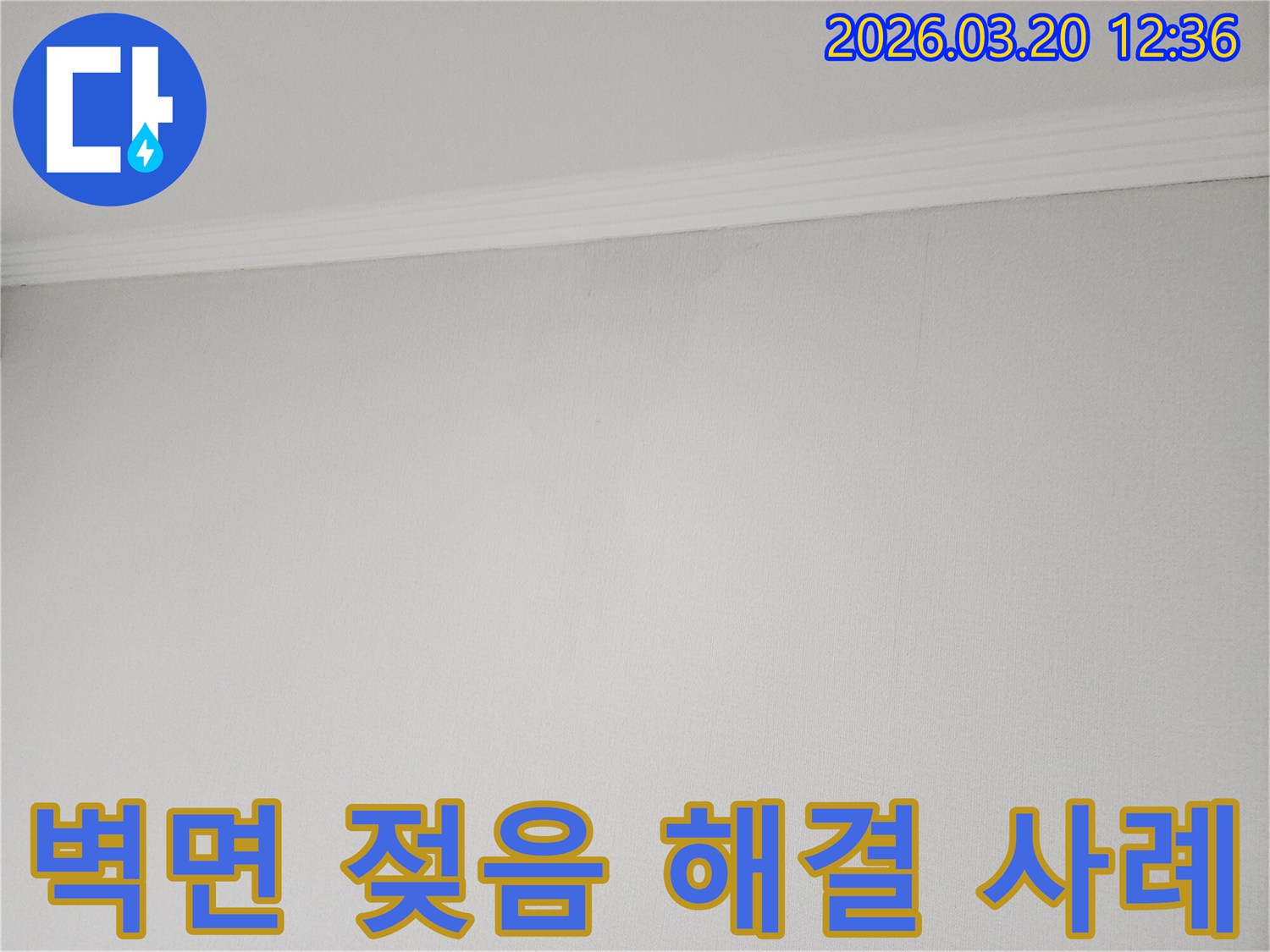누수로-인해-벽면에-발생한-젖음-현상을-확인하고-완벽한-해결을-위한-계획을-세우는-모습