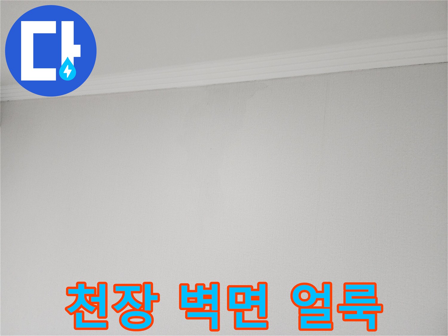 아랫집 천장 벽면에 발생한 누수 흔적과 변색된 상태
