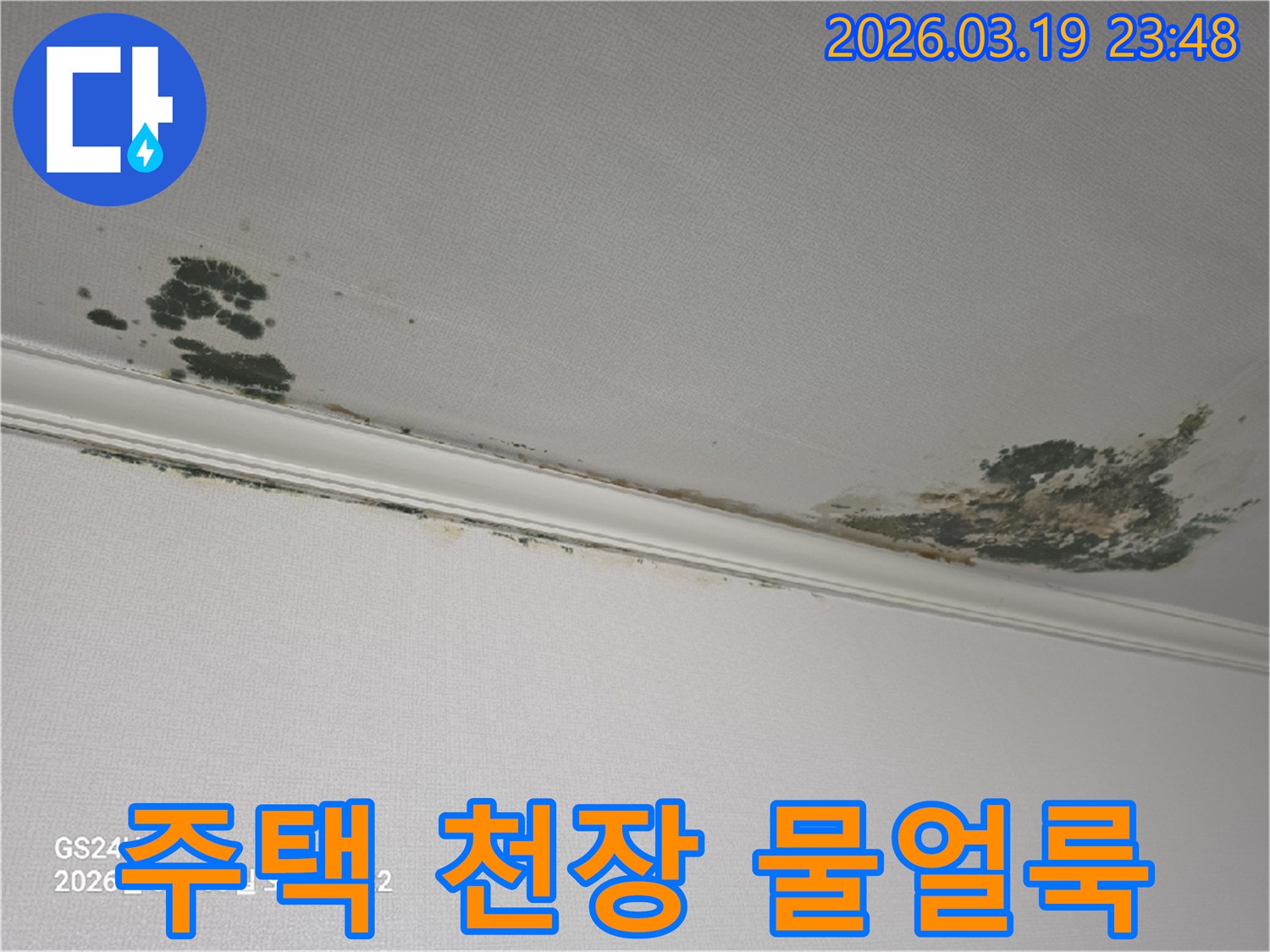 주택-천장-누수-피해-물얼룩과-곰팡이-발생-모습-근본적인-해결책이-필요