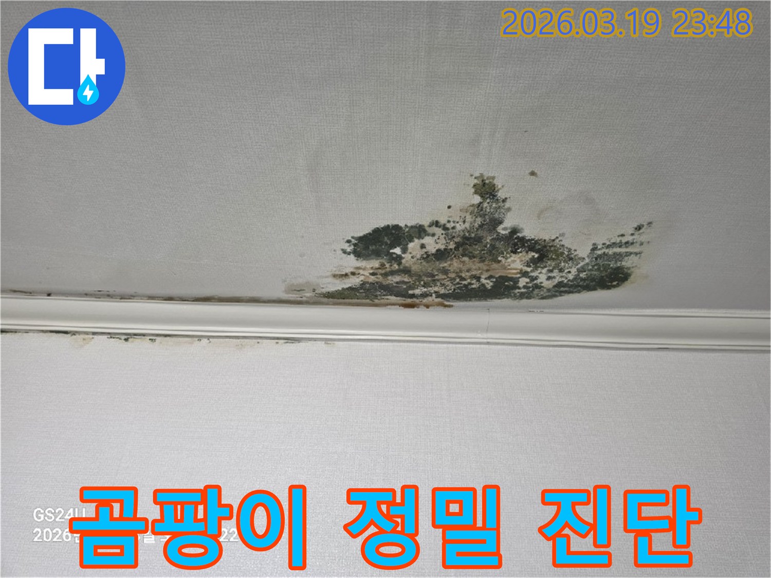 천장-벽지에-발생한-누수-곰팡이-오염-현장으로-정밀-진단이-시급한-상태