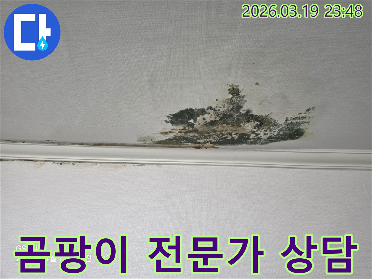 천장-벽지에-발생한-심각한-누수-곰팡이-오염-현장으로-전문가-상담이-필요한-상태