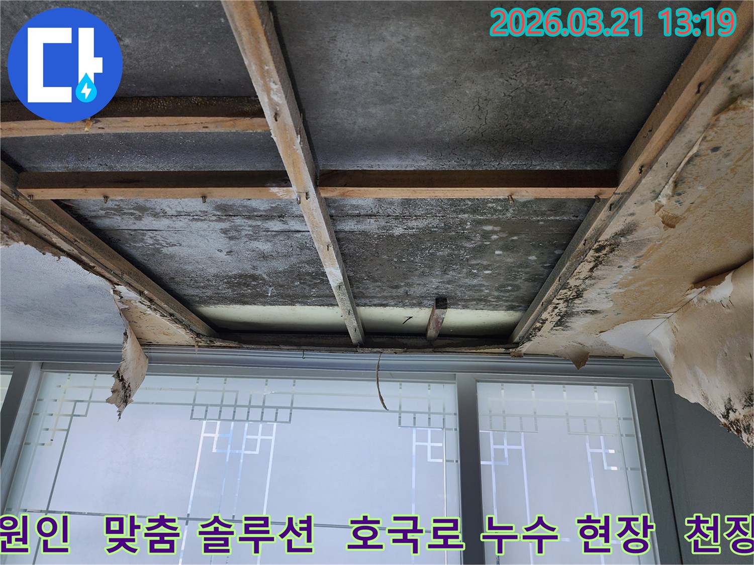 호국로-천장-누수-현장으로-마감재가-제거된-후-콘크리트-슬래브와-목재-구조물에-누수로-인한-물자국과-곰팡이가-확인되며-원인-파악이-필요합니다.