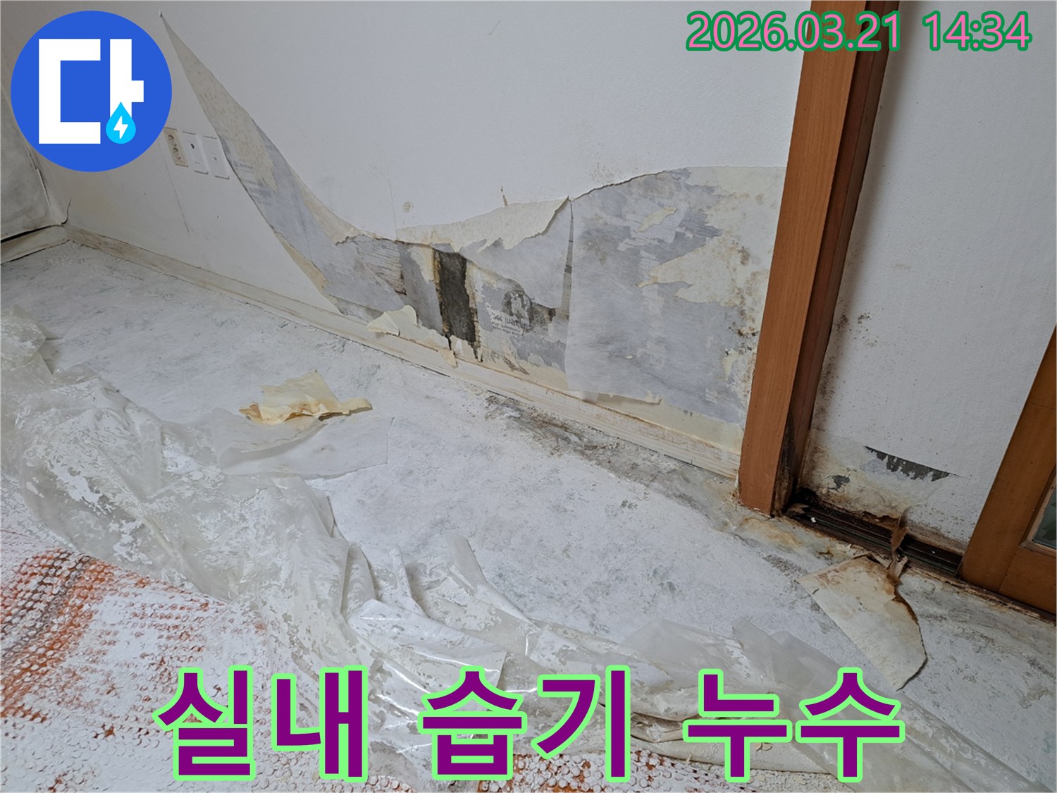 누수로-인해-벽지가-손상되고-실내-습기가-높아진-현장을-보여주는-사진
