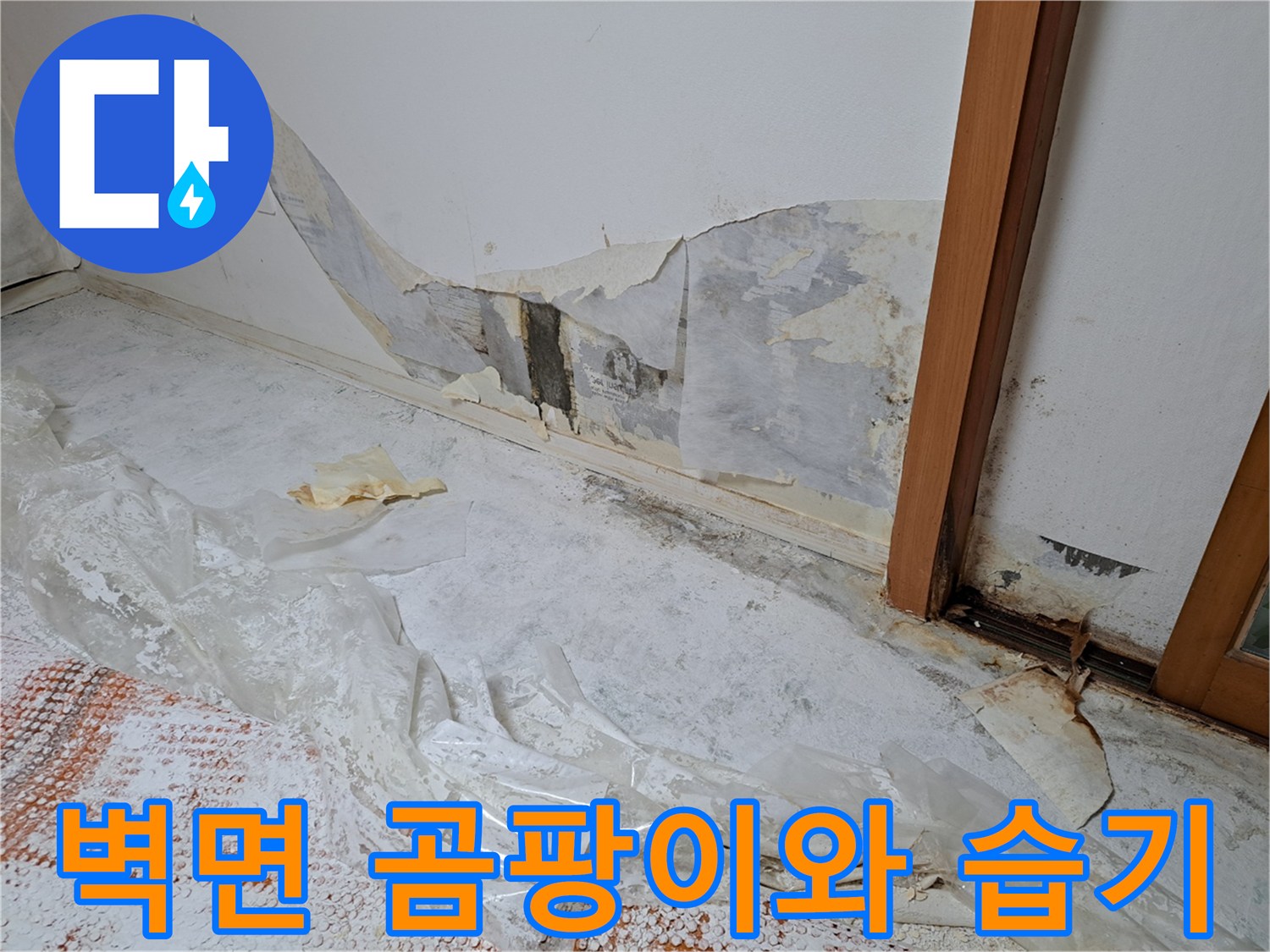 반지하-벽면의-곰팡이-및-습기로-훼손된-벽지
