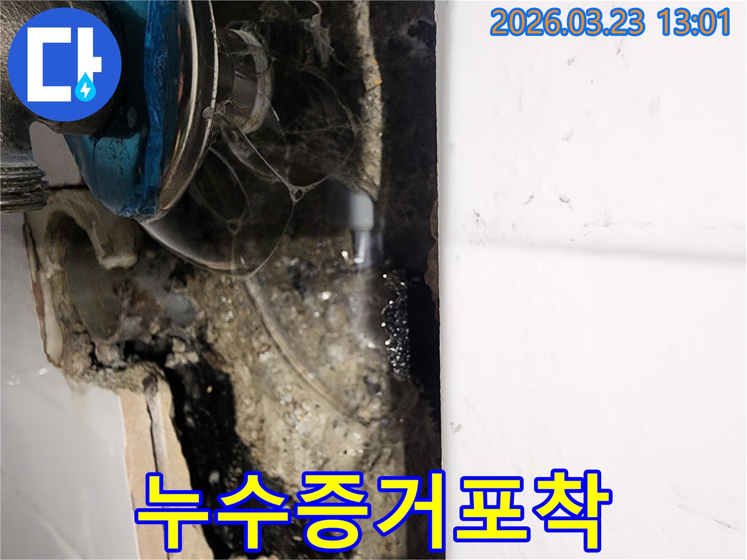 누수-현장에서-배관-주변의-거미줄까지-물에-젖어있는-모습