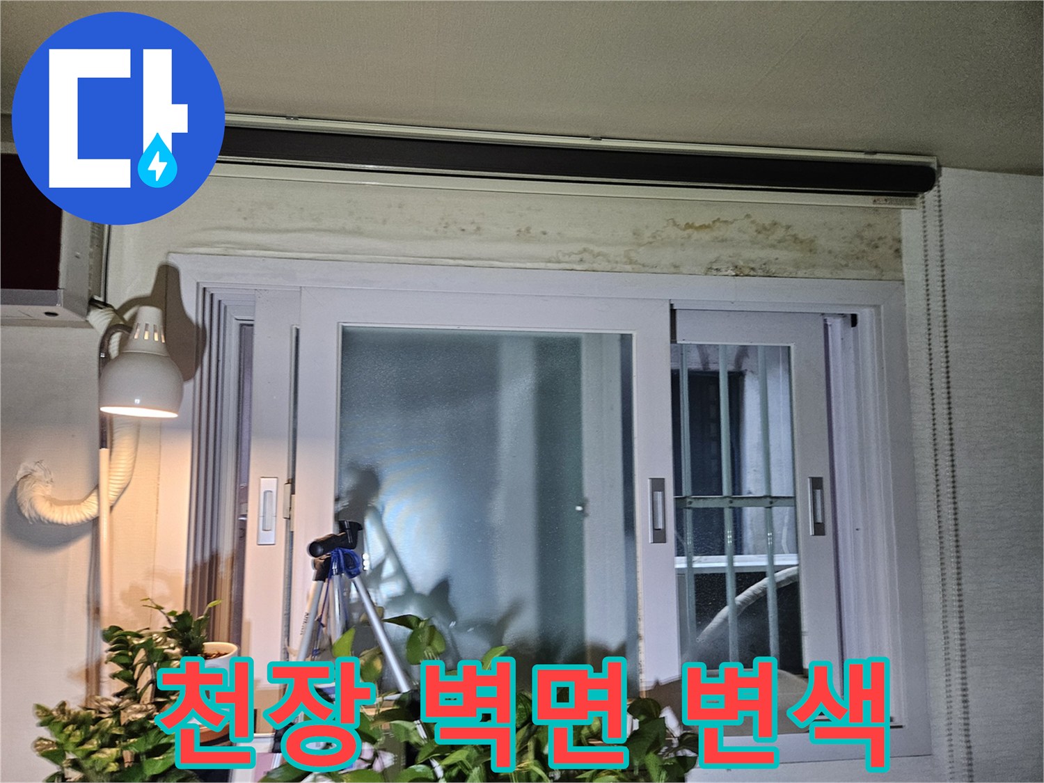 창문 상단부-벽지 변색 및 곰팡이 발생 상태