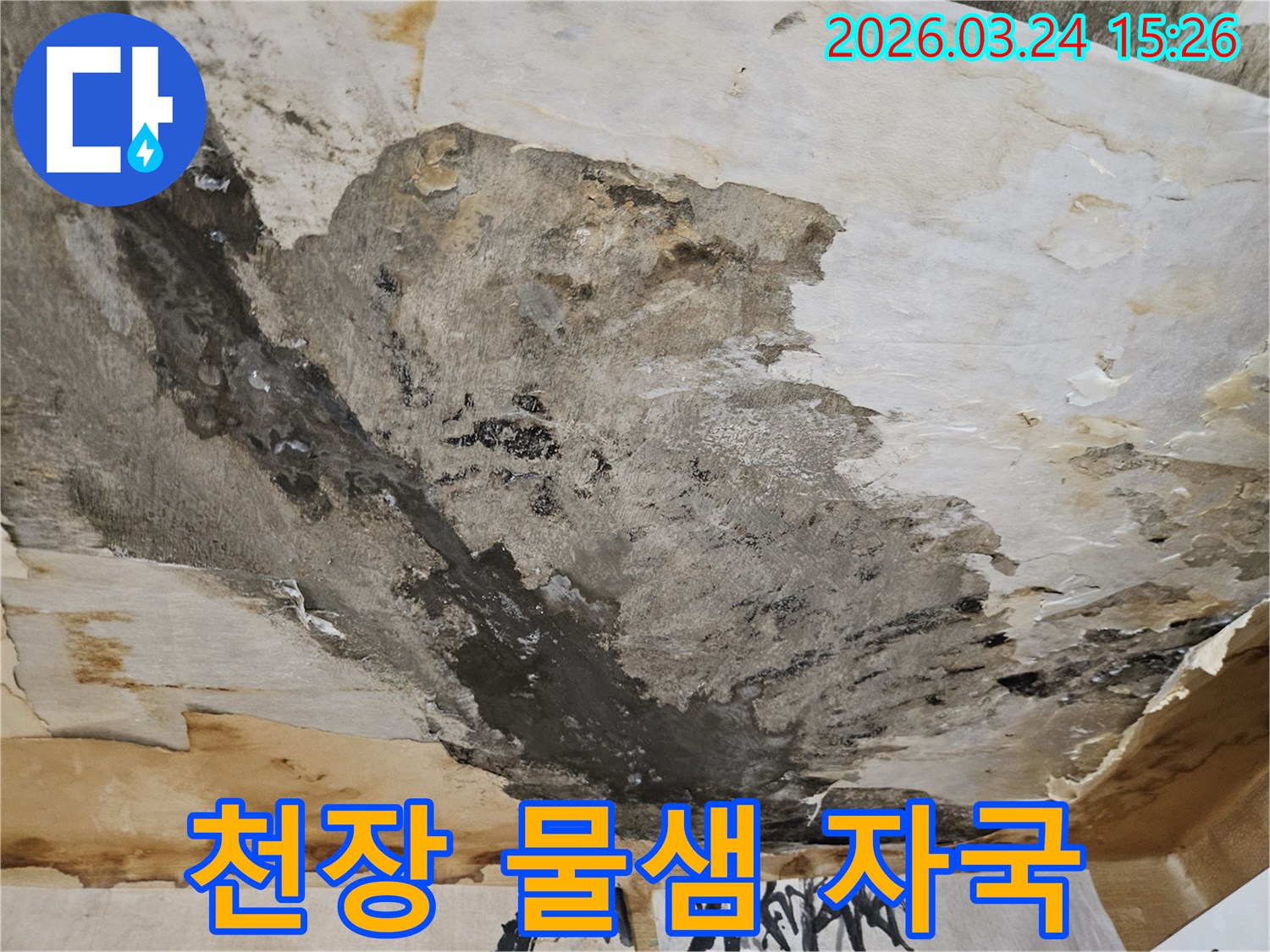 천장에서-물이-새어-벽지가-젖고-얼룩진-심각한-누수-피해-현장입니다