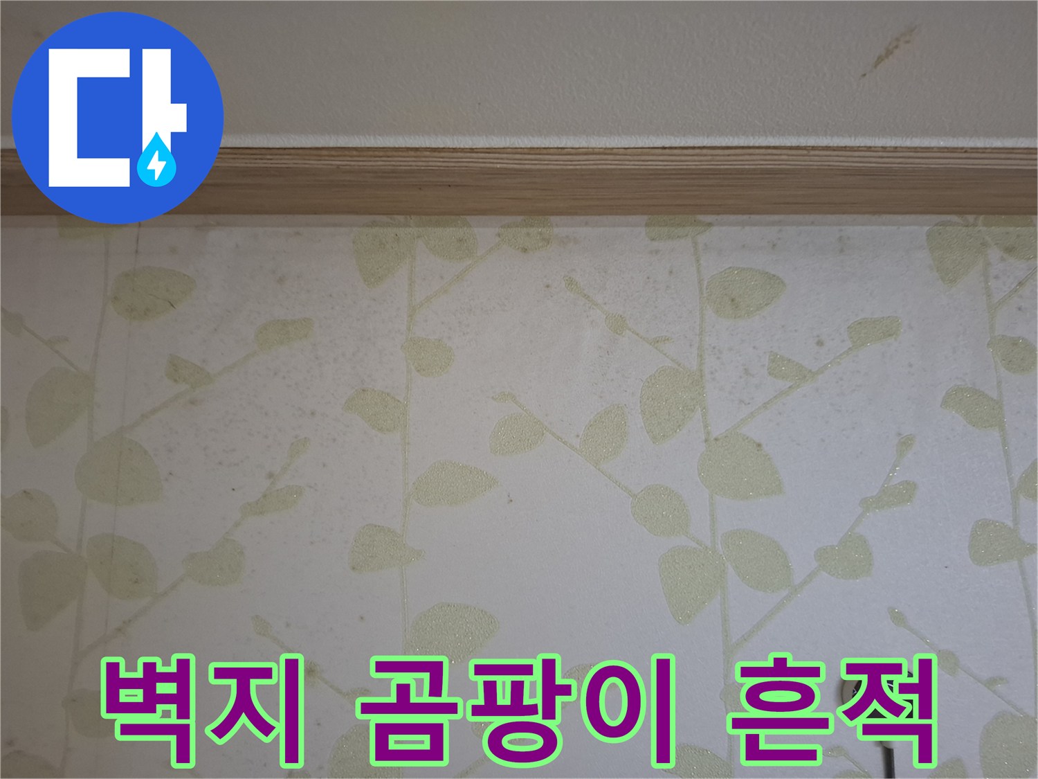 꽃무늬 벽지에 나타난 습기 및 곰팡이 자국