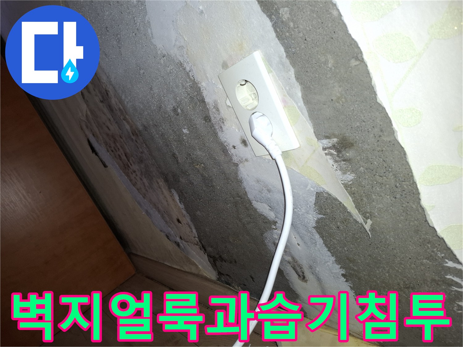 콘센트 주변의 젖은 벽지와 콘크리트 노출 부위