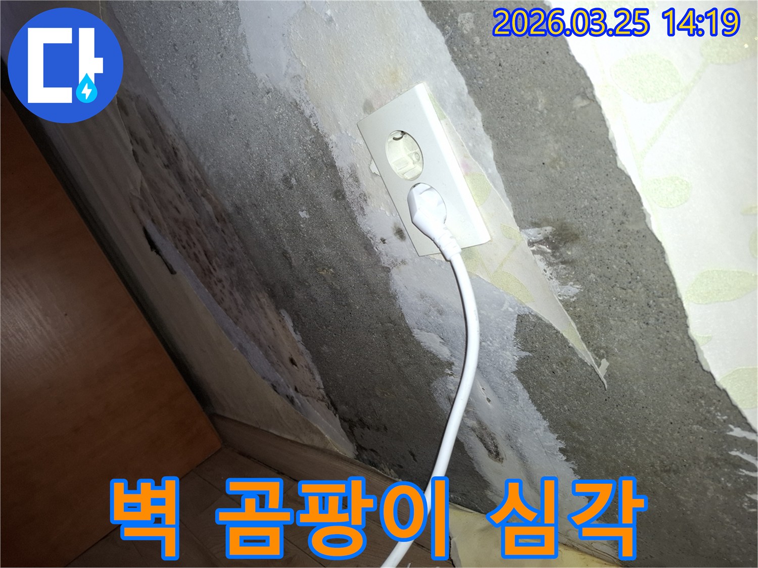 콘크리트-벽에-물이-스며들어-콘센트-주변까지-젖고-곰팡이가-번식한-누수-진단-이미지