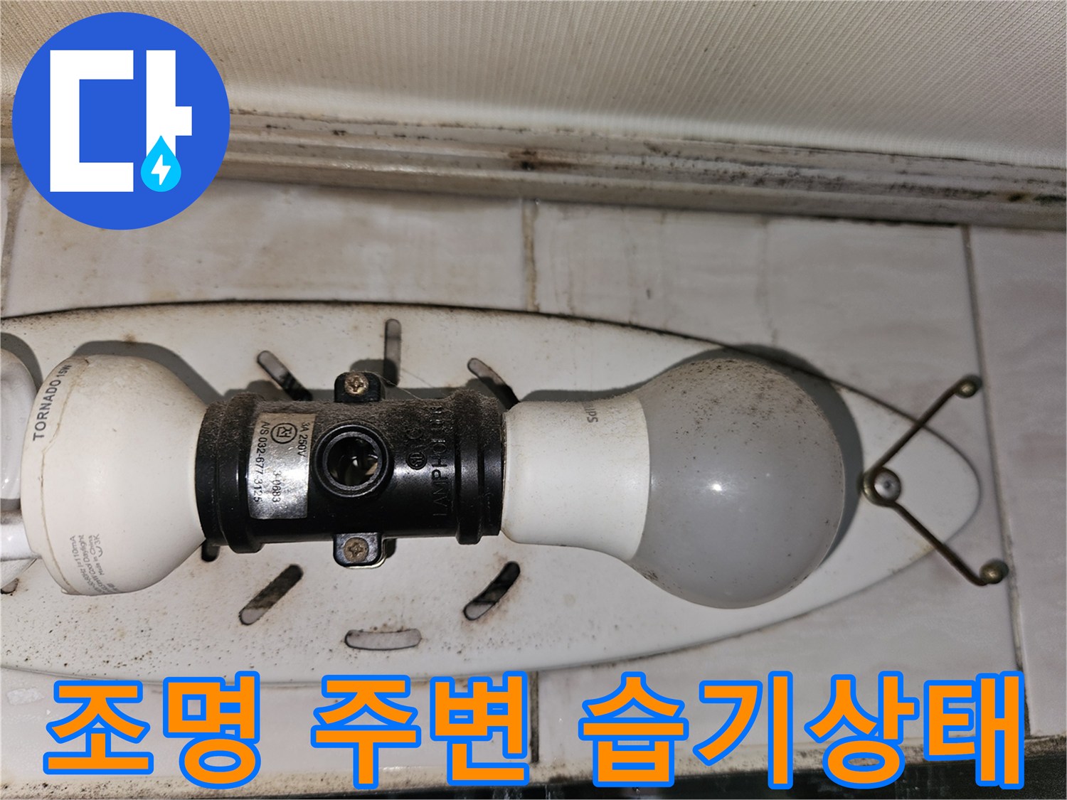 천장 조명 기구 주변의 눅눅한 얼룩 - 배관 누수 진단 현장