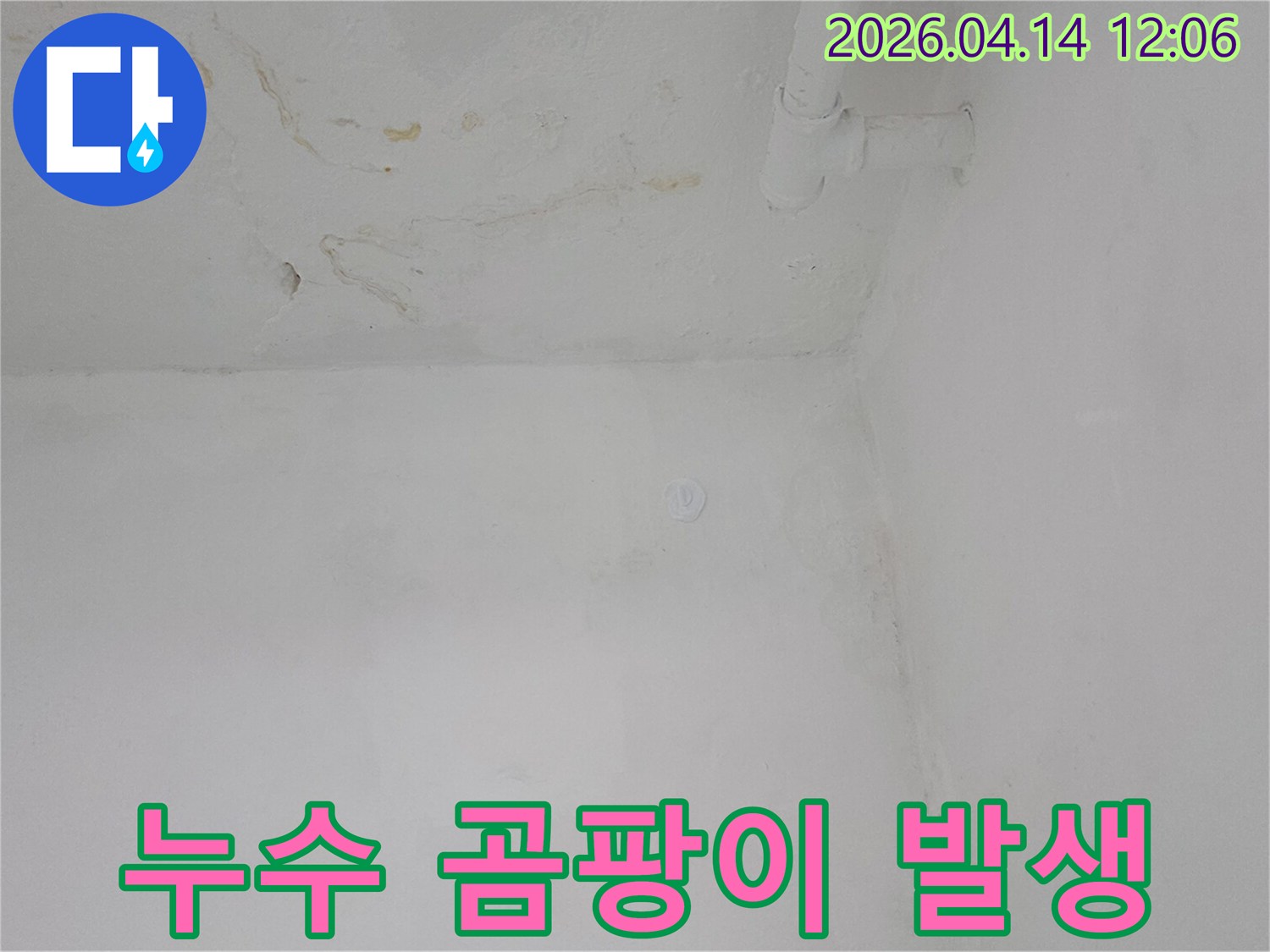 천장과-벽면의-물자국으로-인해-곰팡이가-발생한-누수-피해-현장입니다