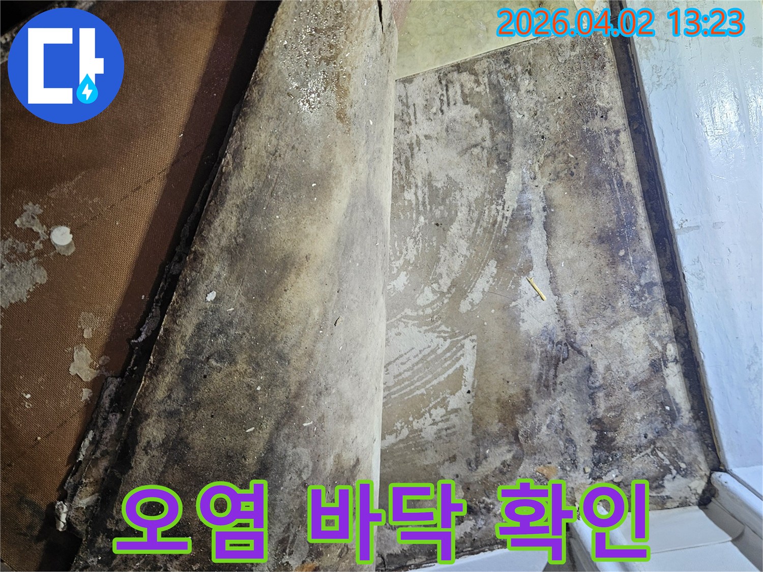 오랜 누수로-손상된 바닥재를 들어내어-아래쪽 곰팡이와 습기를 점검합니다