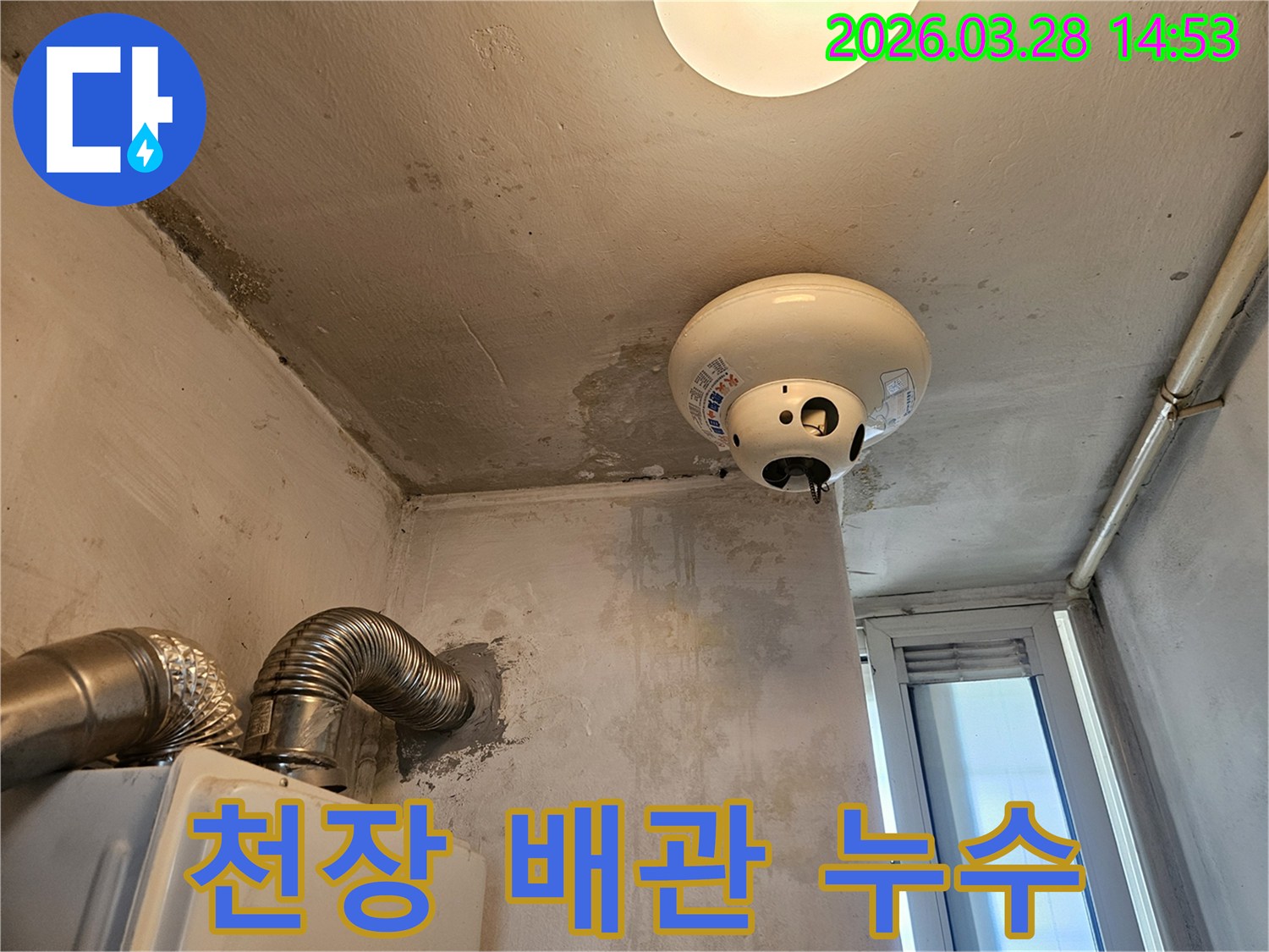 천장 배관 주변으로 물이 새어 얼룩지고 곰팡이가 피어난 누수 현장 사진입니다.