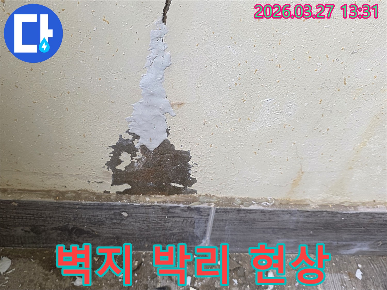 누수탐지 전문가가 확인한 벽면의 심각한 물샘 흔적-현장 사진
