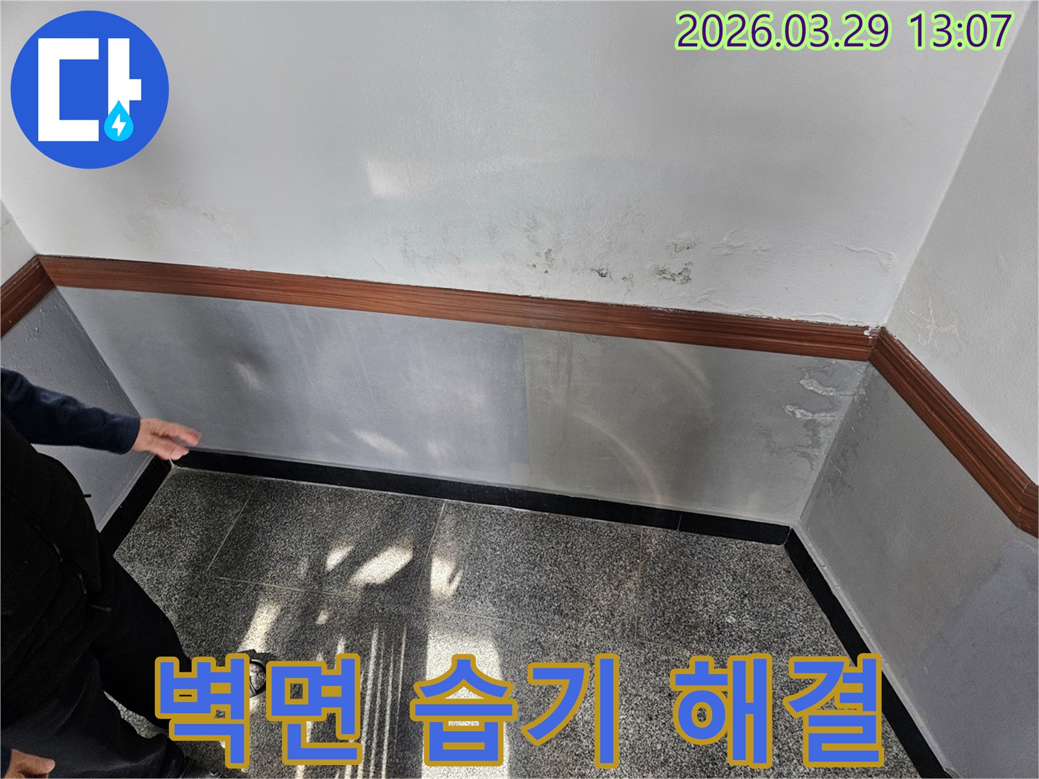 벽지-들뜸과-광범위한-곰팡이-현상이-발견된-오래된-누수-현장-사진입니다