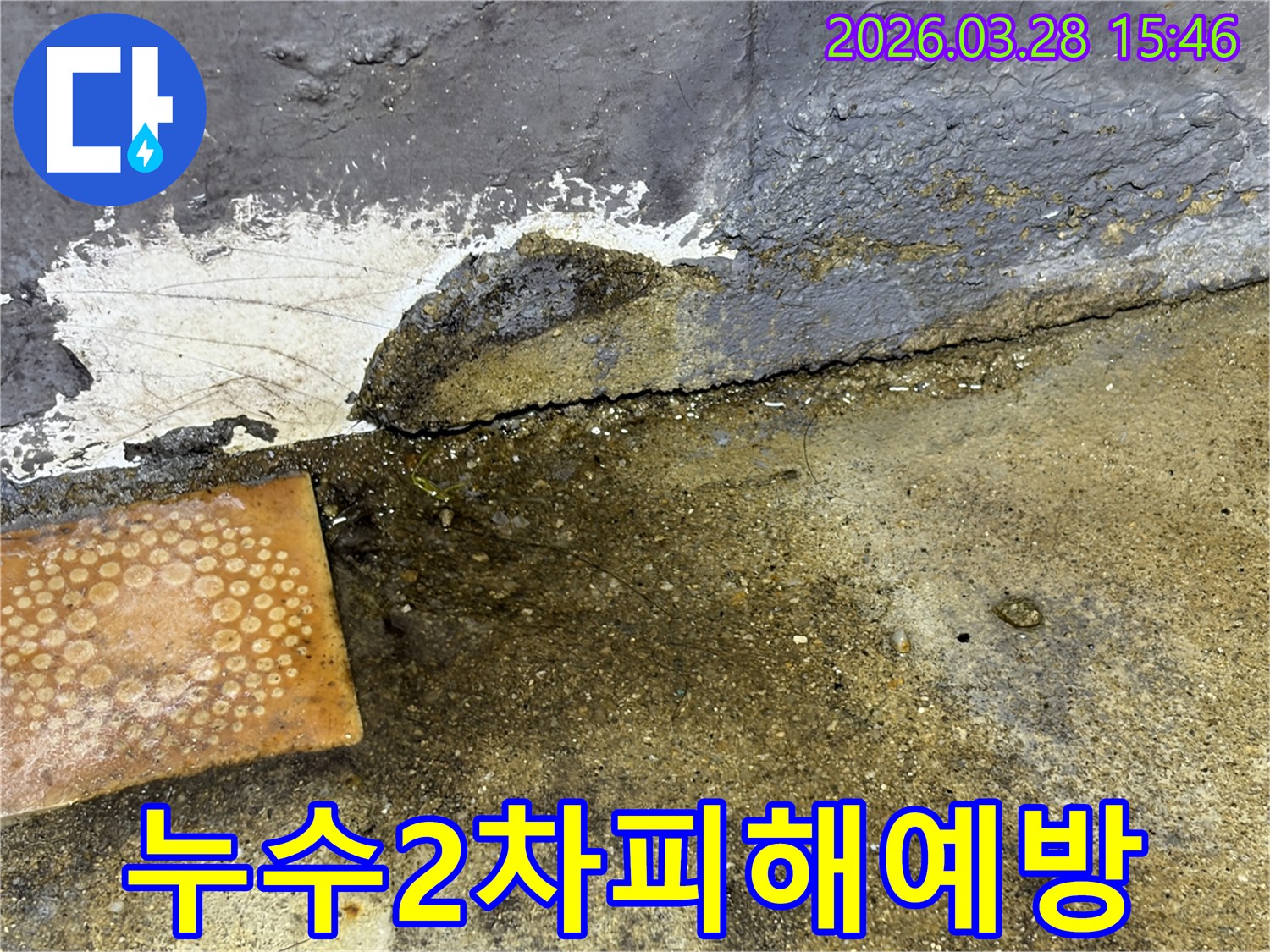 오랜-시간-누수가-진행된-듯한-콘크리트-바닥의-균열과-물고임-현장-사진입니다