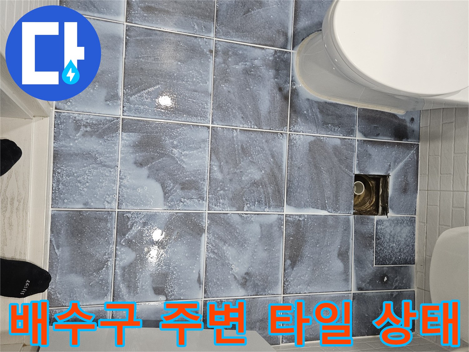 양천구 화장실-배수구 유가 점검 사진