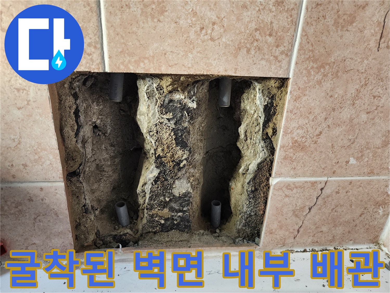 타일 제거 후 드러난 젖은 배관 및 굴착 부위 상세 사진
