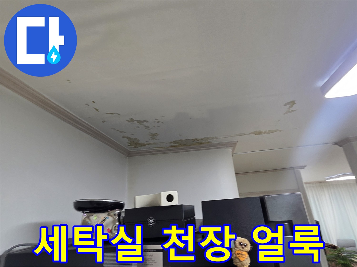 도봉구 세탁실 천장-페인트 벗겨짐과 물 얼룩 현상