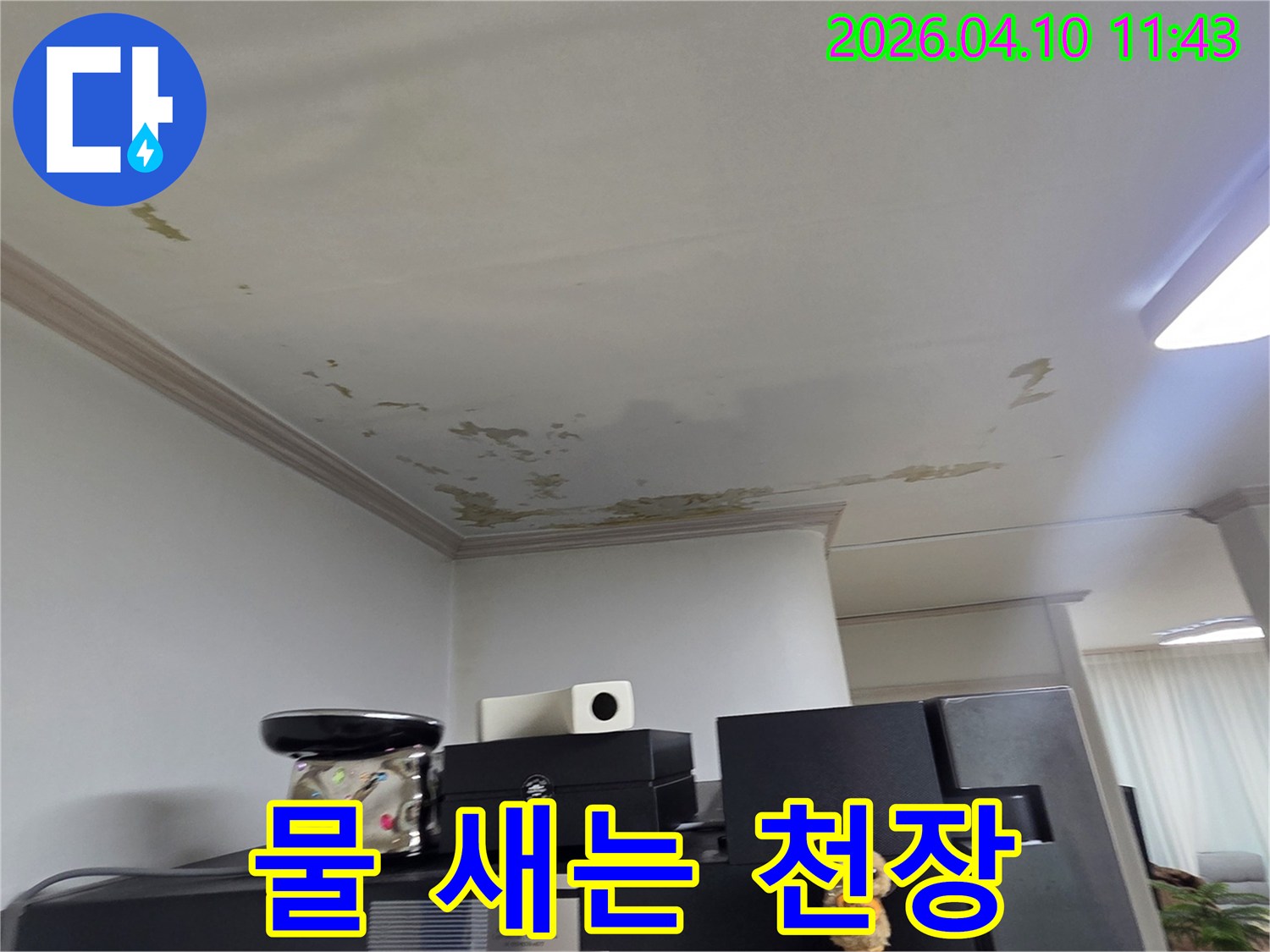 천장 벽지가 젖고-페인트가 벗겨진-누수 현장의-전형적인 모습입니다