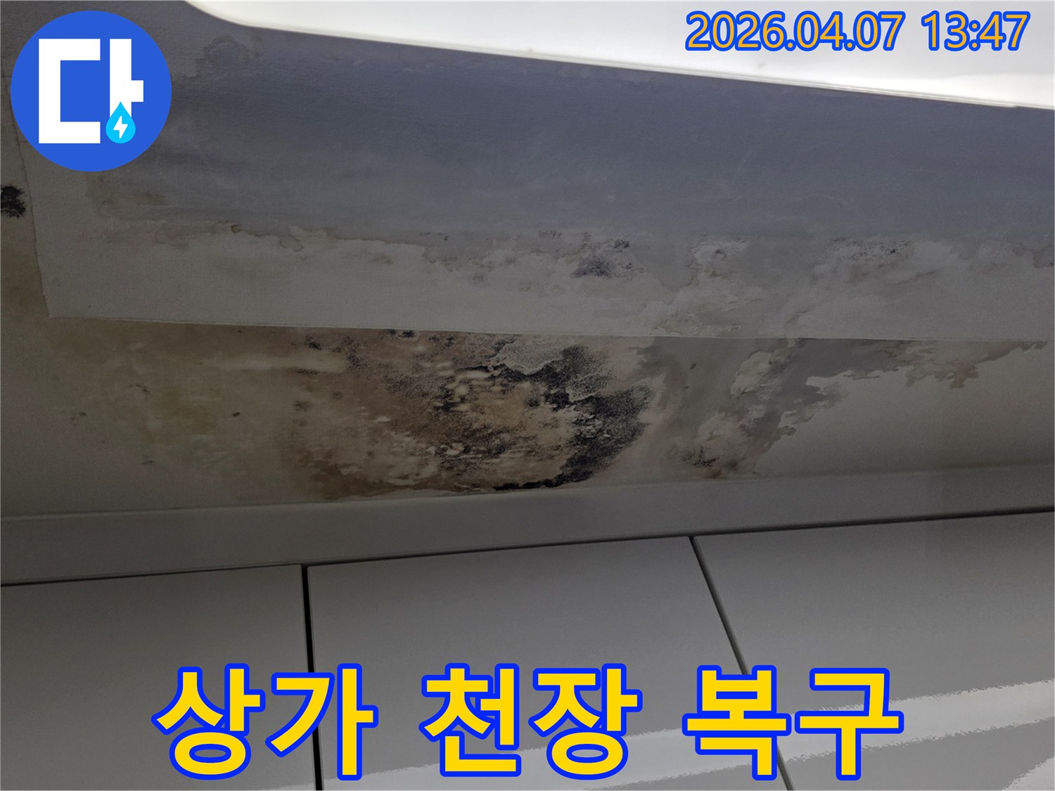 상가-천장에-발생한-누수로-인한-광범위한-곰팡이-오염-현장-완벽한-복구-작업-필요