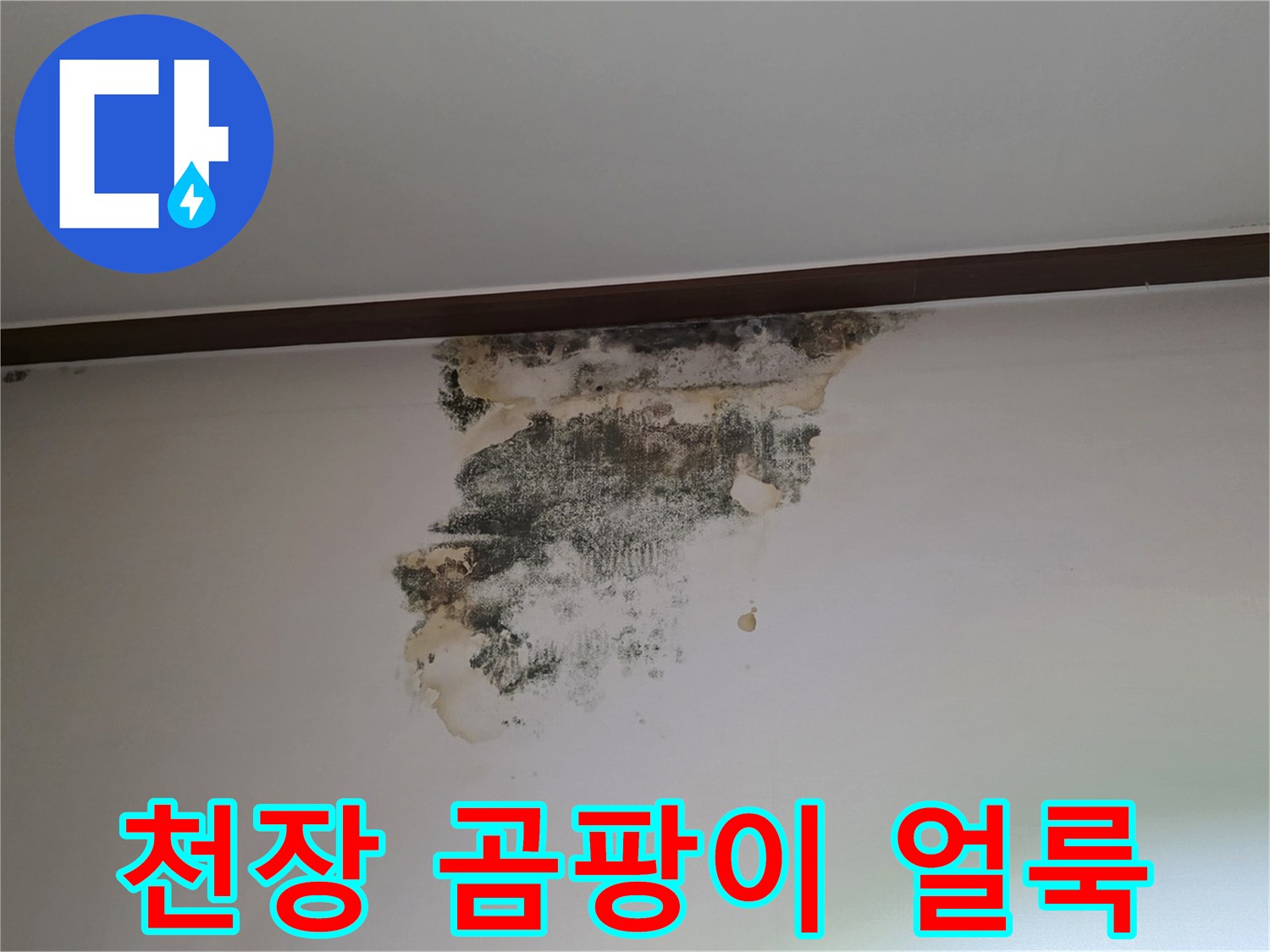 성남 중원구 현장-아랫집 천장에 발생한 곰팡이와 물자국