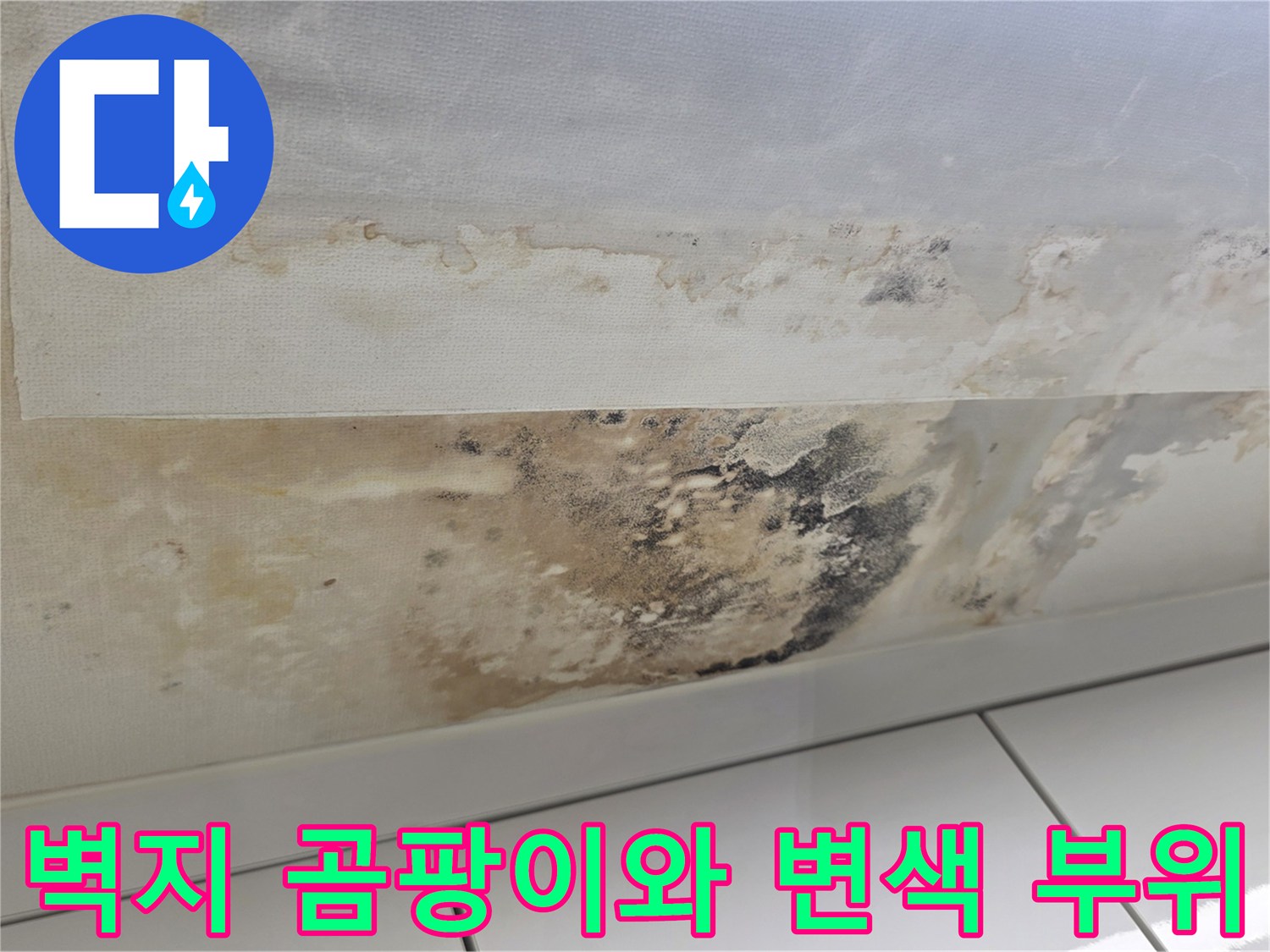 아랫집 천장 벽지-습기로 인한 변색 및 곰팡이 발생
