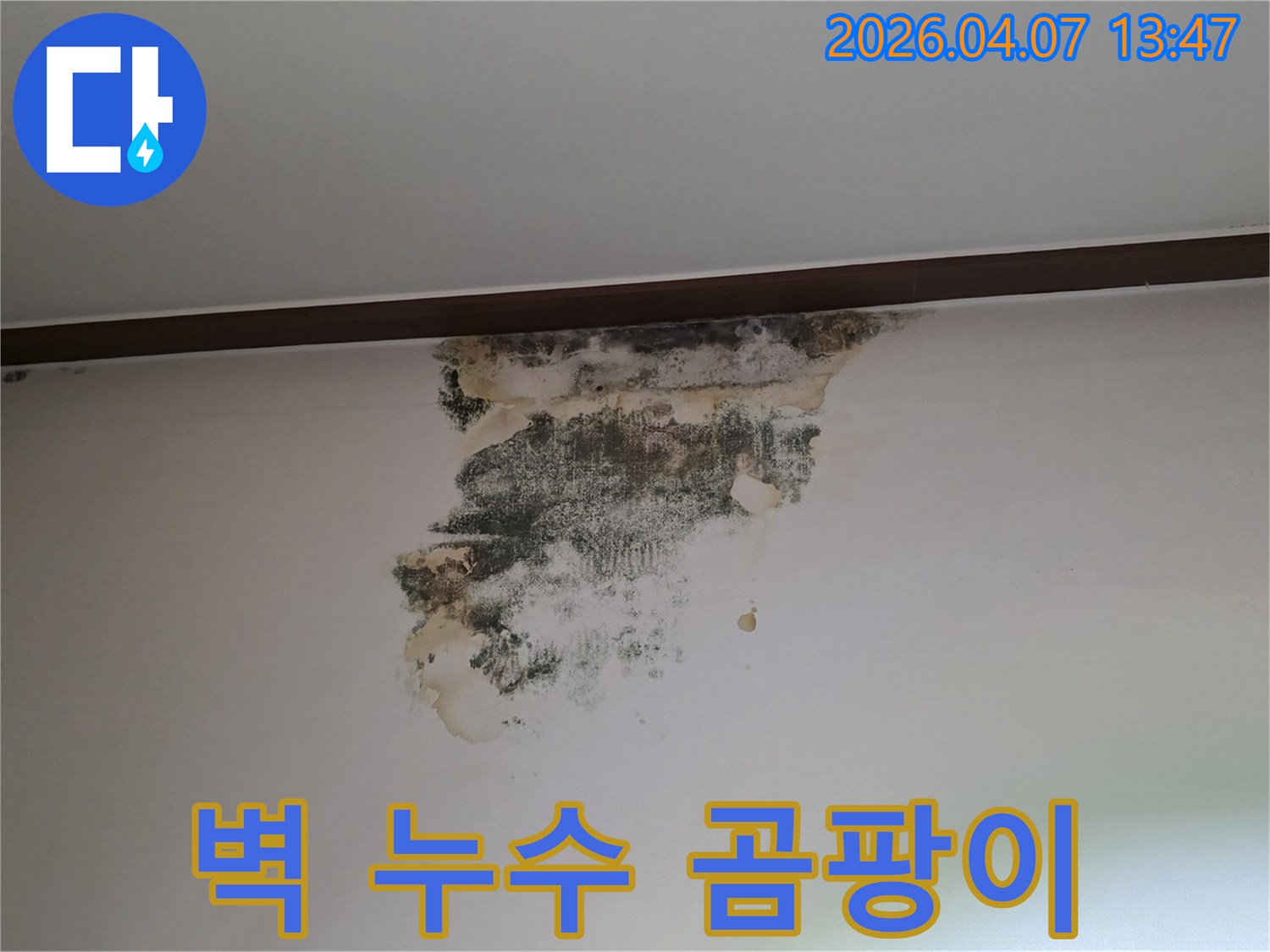 아파트-내부-벽면-상단에-발생한-누수로-인한-곰팡이와-벽지-손상