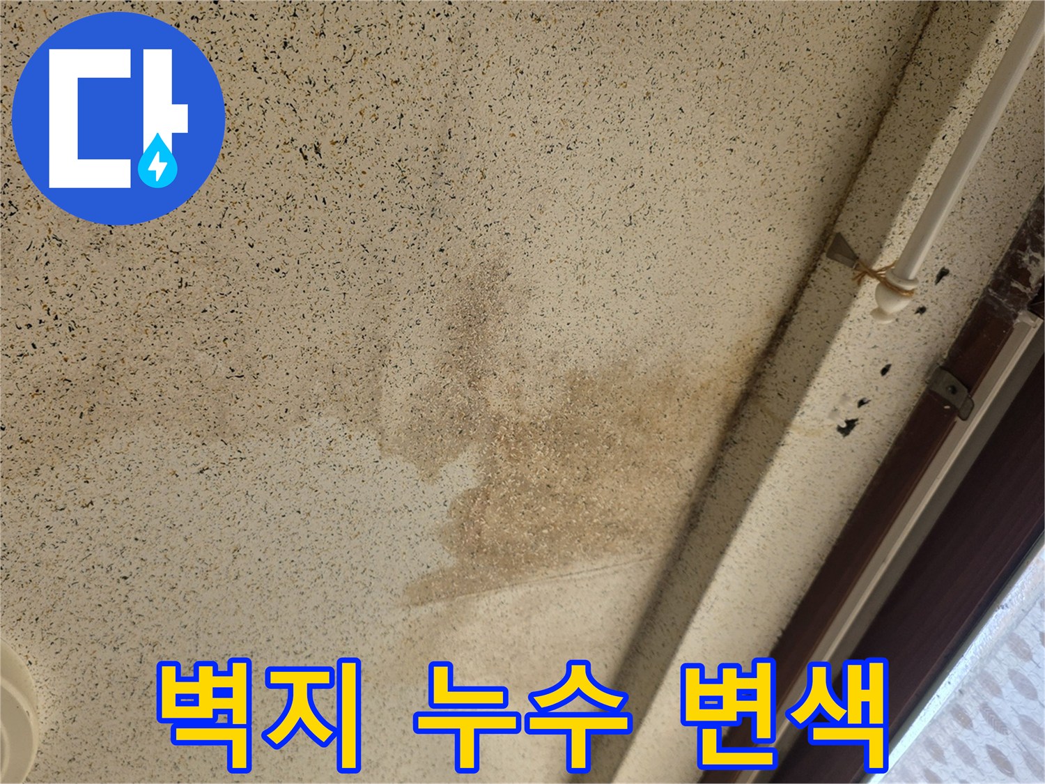 천장 마감재에 나타난 심한 물샘 자국과 곰팡이 위험 상태
