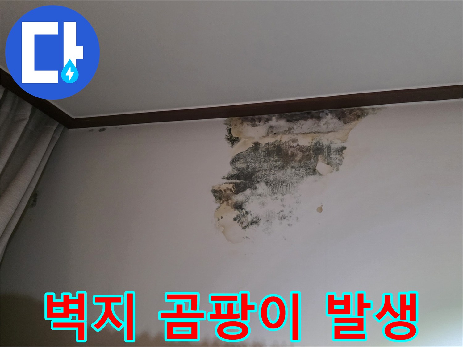 천장 몰딩 하단부의 심한 물자국과 곰팡이 번식 상태