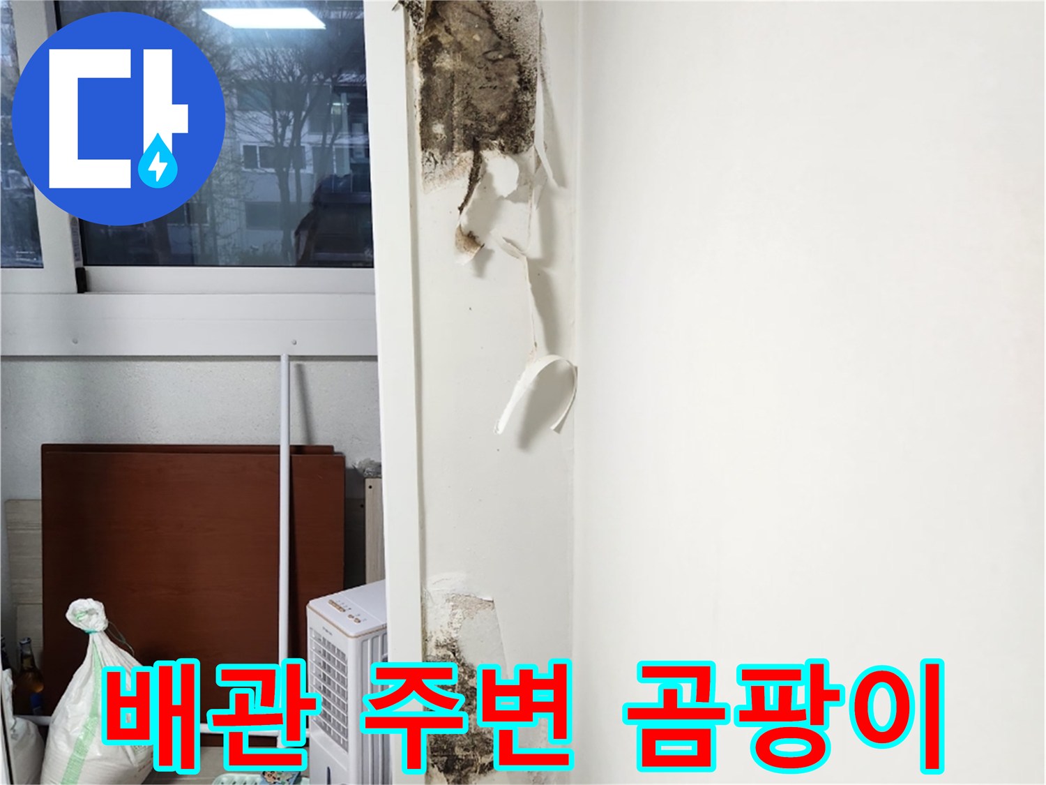 우수관 배관을 따라 발생한 벽면 곰팡이와 들뜬 벽지