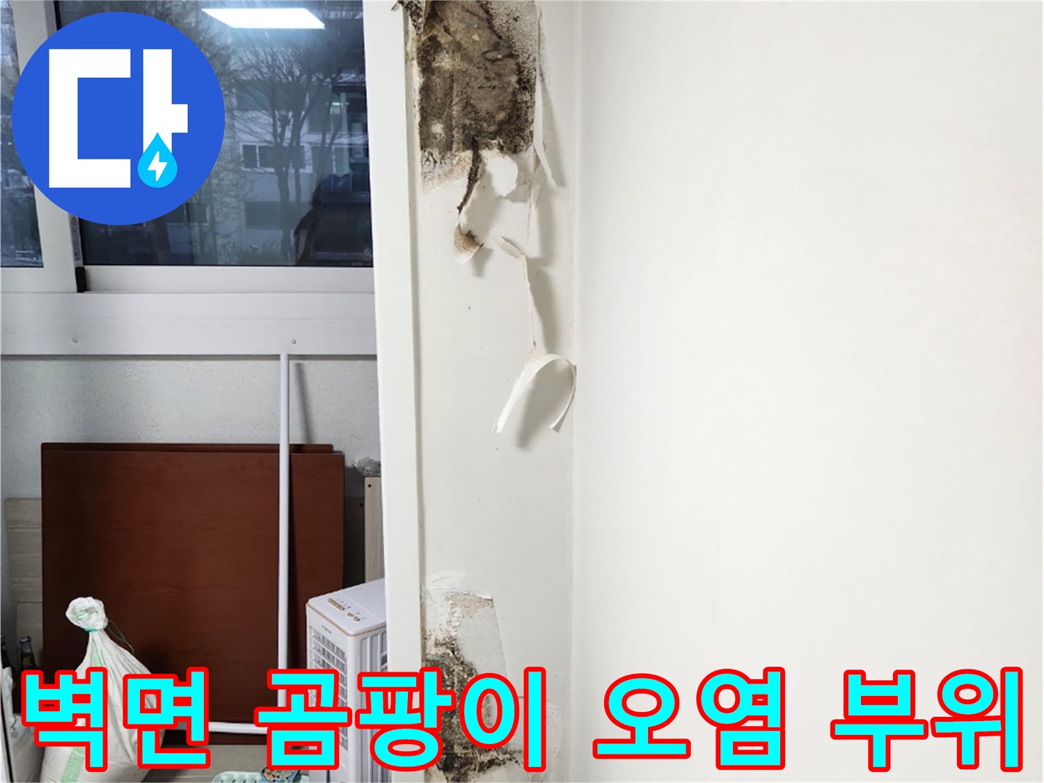 우수관 주변 벽면의 검은 곰팡이와 습기 흔적