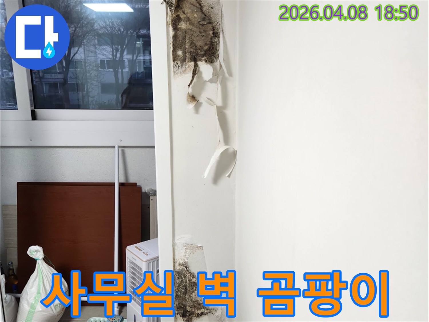 창문-옆-벽면에서-발생한-벽지-들뜸과-광범위한-곰팡이-오염을-보여주는-누수-현장-사진입니다