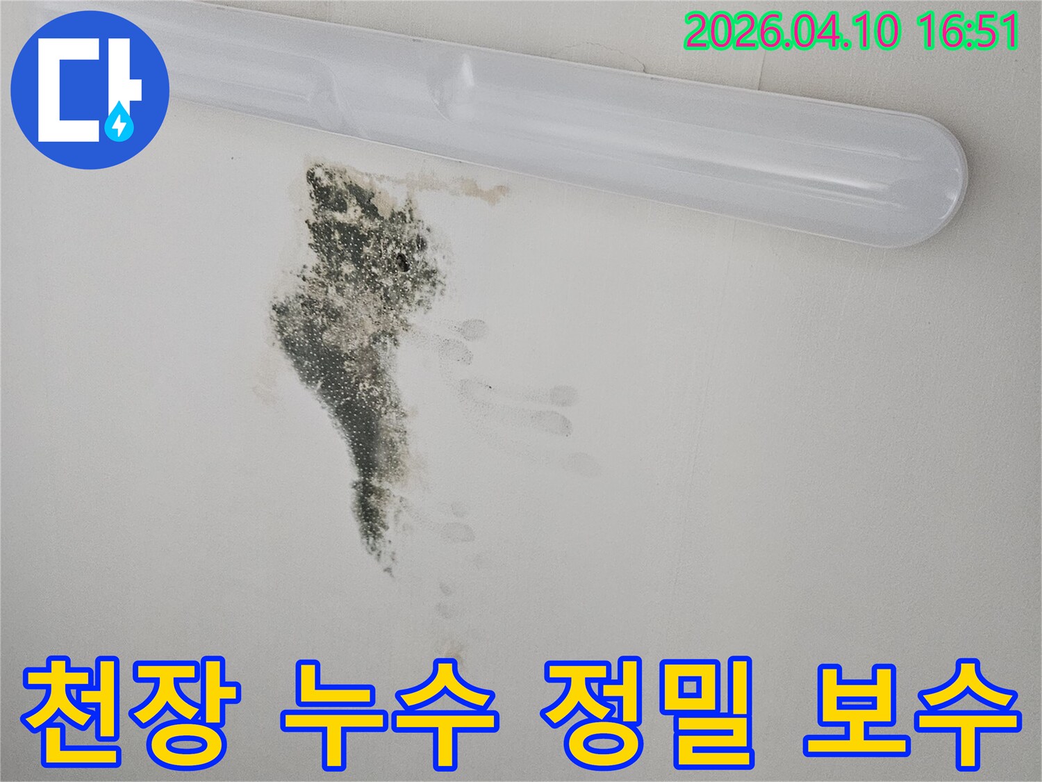 천장에 발생한 누수와 곰팡이로 인한 피해를 보여주는 사진-신속한 복구 작업이 필요한 상황입니다