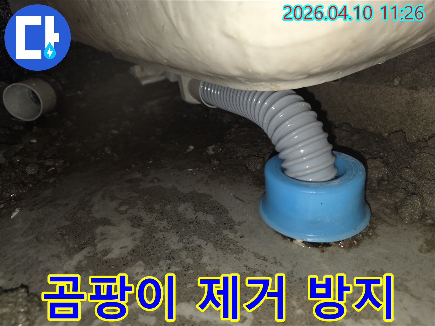 세탁기 배수 호스에서 물이 새어 바닥에 고인-곰팡이 제거 및 방지 조치가 필요한 누수 현장