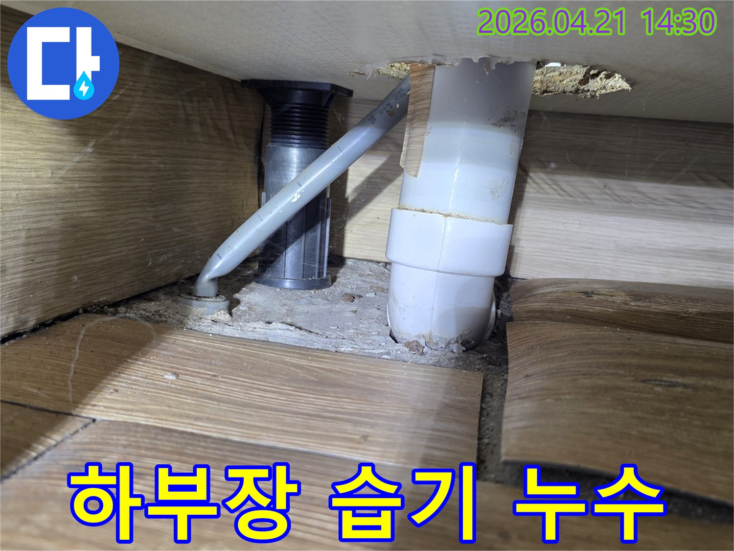 빌라 싱크대 하부의-지속적인 누수로 인한-습기와 곰팡이 발생-및 바닥재 손상