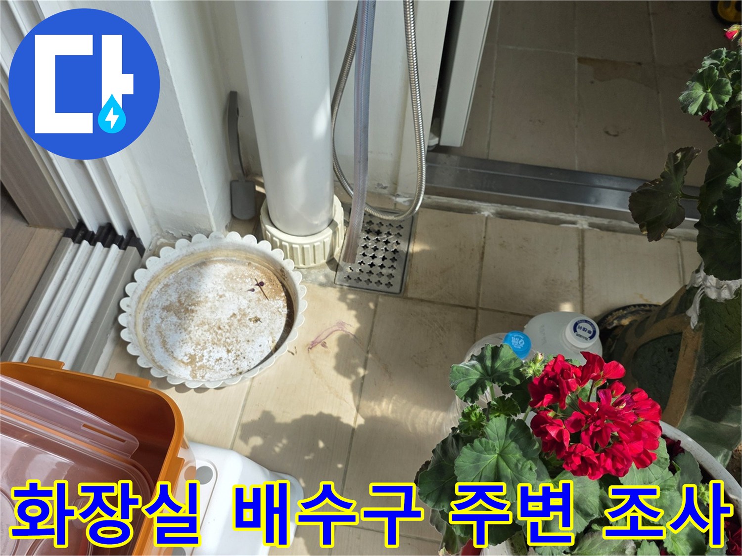 배수구 근처 타일과 배관 부위 상세 확인