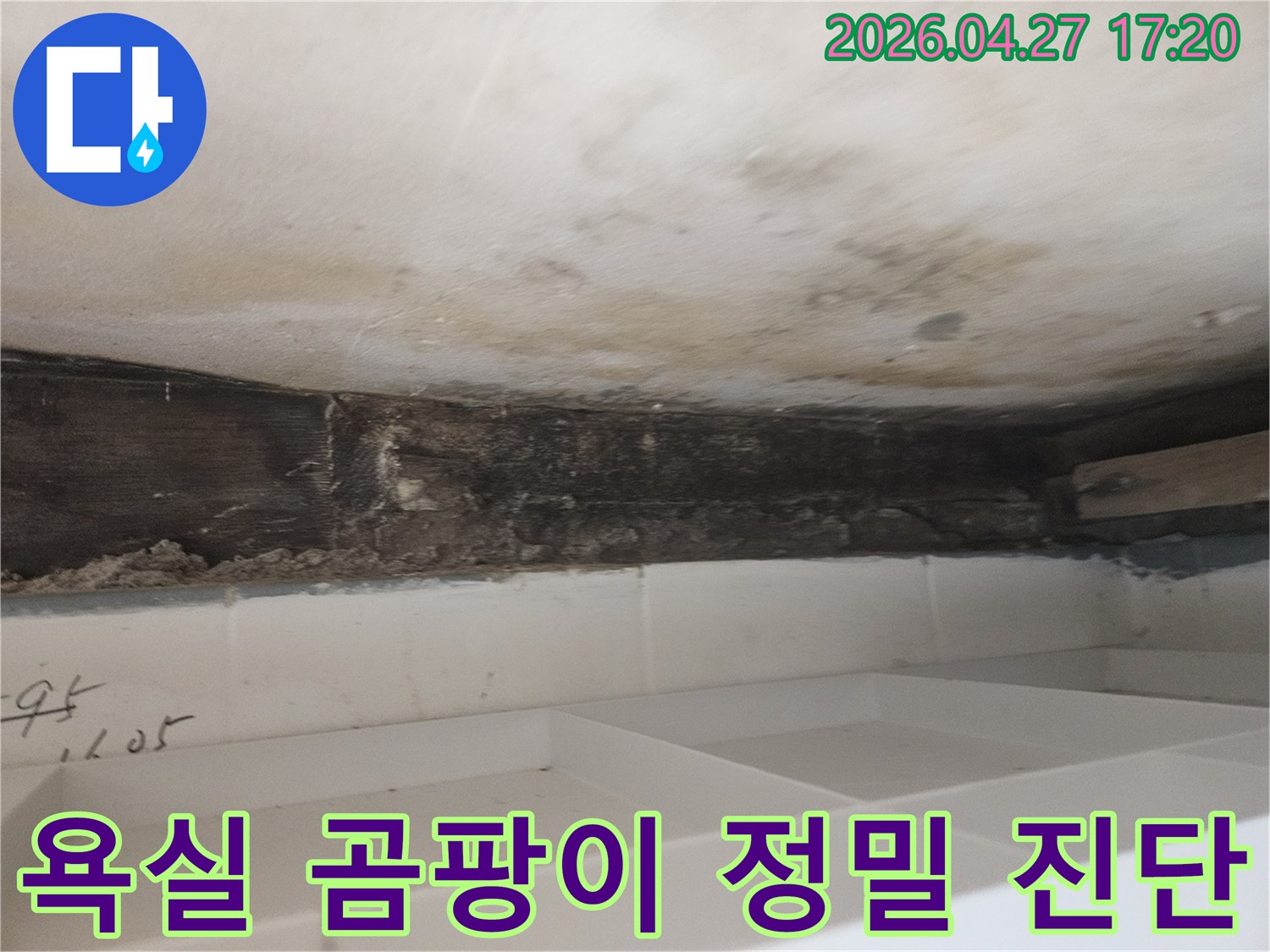 누수로 인해-욕실 천장-벽면에-발생한-곰팡이와-오염된-목재 구조물을-정밀하게-진단하는-과정