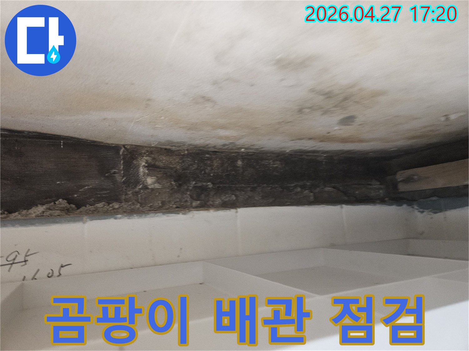 누수로 인해-욕실 천장-벽면에-발생한-곰팡이와-오염된-목재 구조물을-통해-배관의-상태를-정밀하게-점검하는-과정